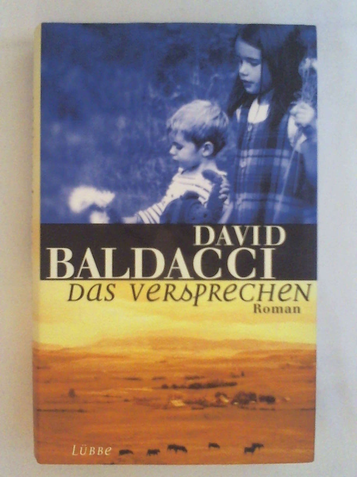 Das Versprechen (Lübbe Belletristik) Contemporary literature Books