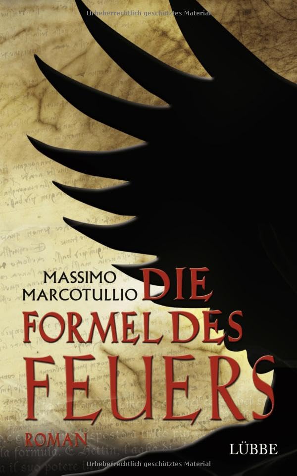 Die Formel des Feuers: Roman (Lübbe Belletristik) Contemporary literature