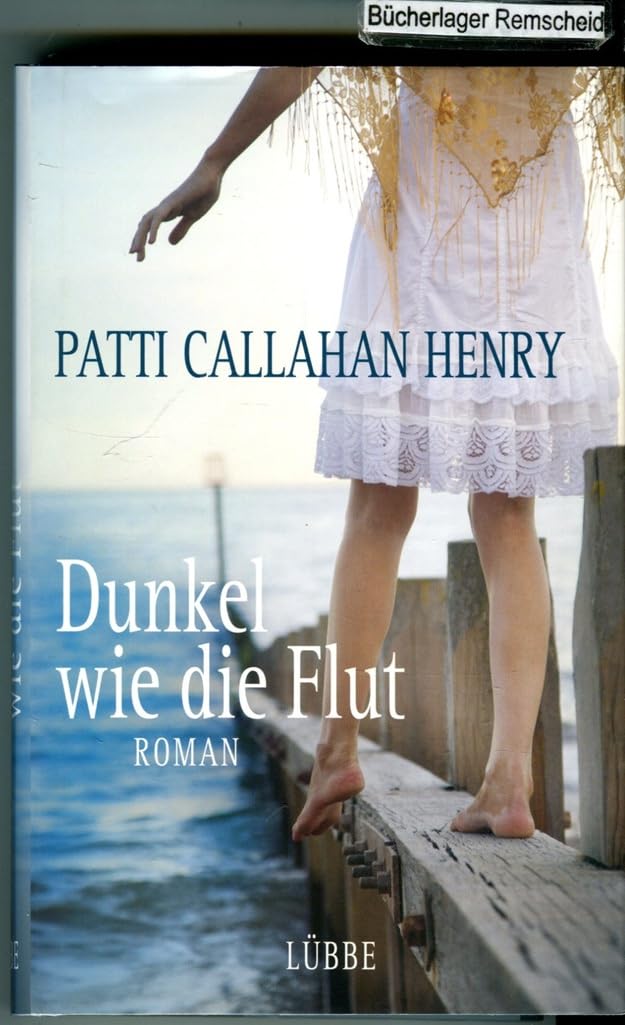 Dunkel wie die Flut: Roman Contemporary literature