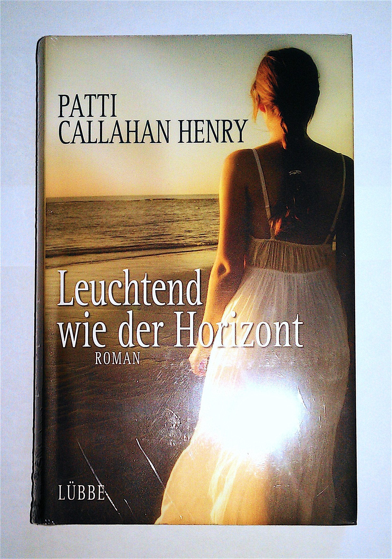 Leuchtend wie der Horizont Contemporary literature