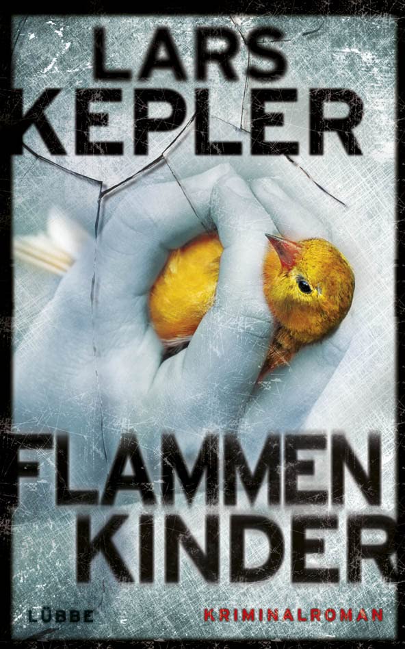 Flammenkinder Contemporary literature Books