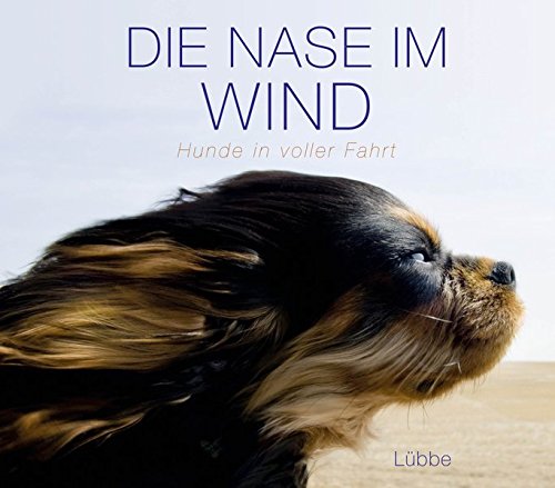 Product Image: Die Nase im Wind