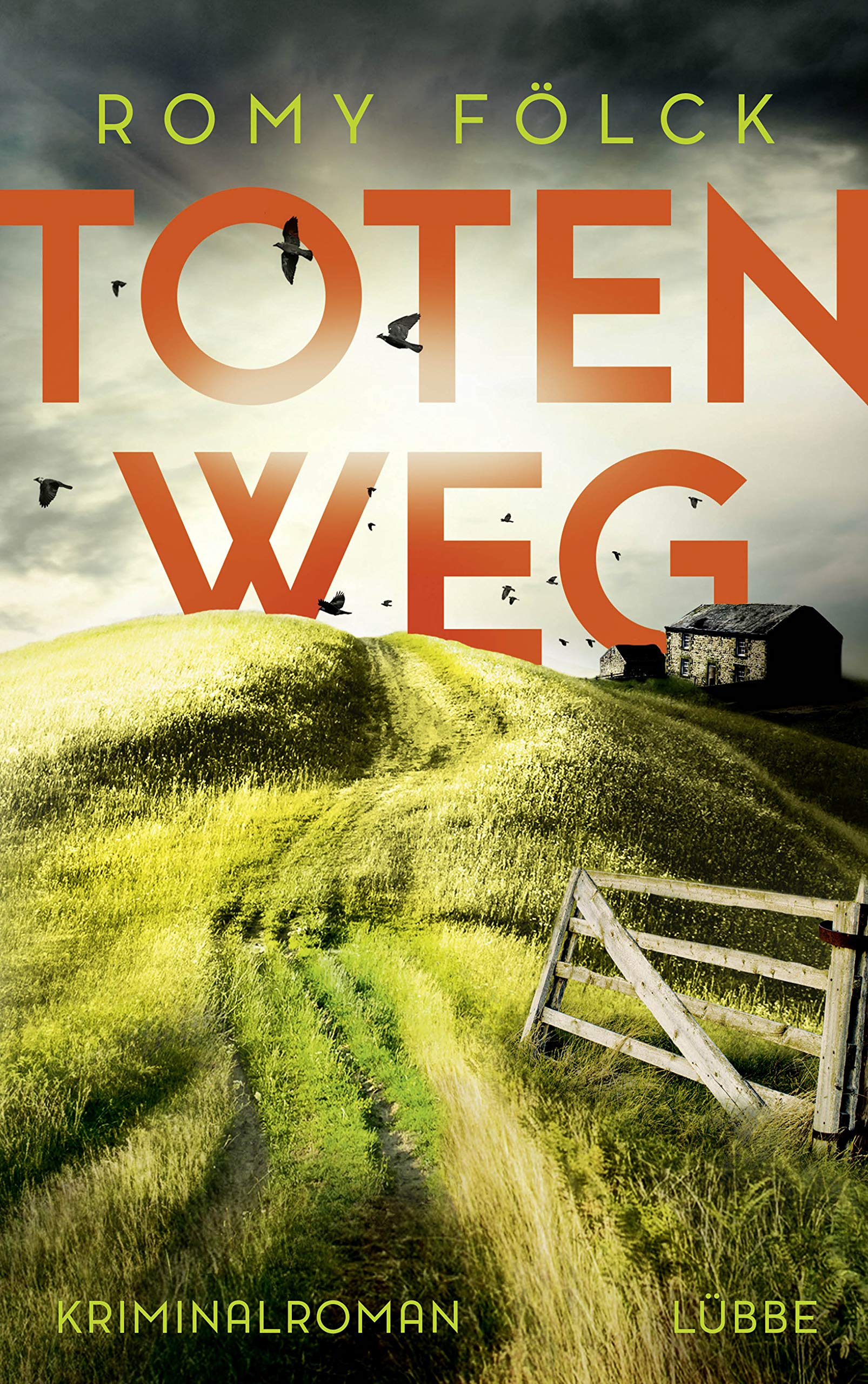 Totenweg Contemporary literature Books