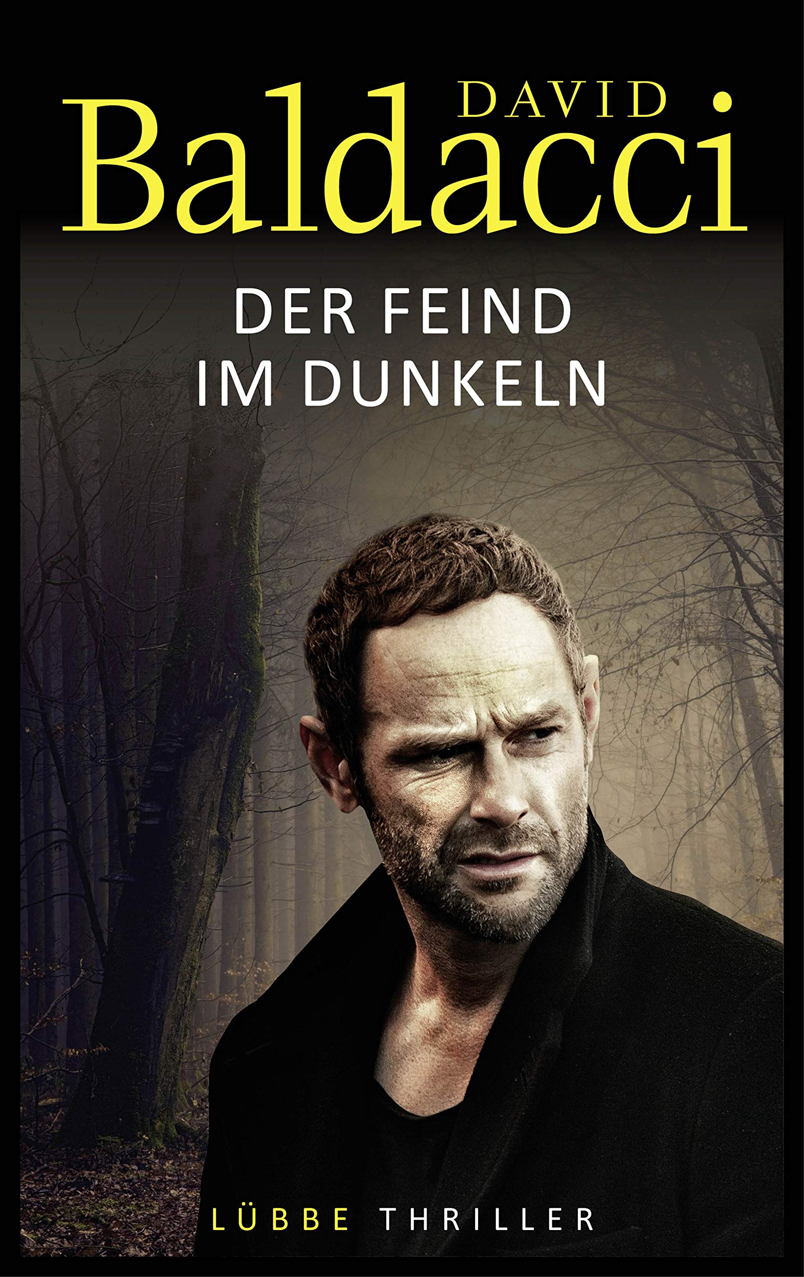 Der Feind im Dunkeln Contemporary literature