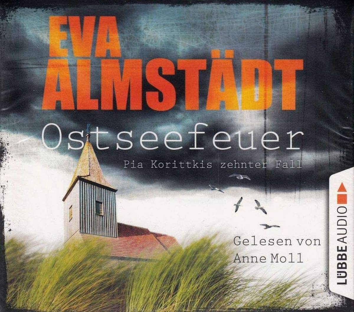 Ostseefeuer Contemporary literature Books