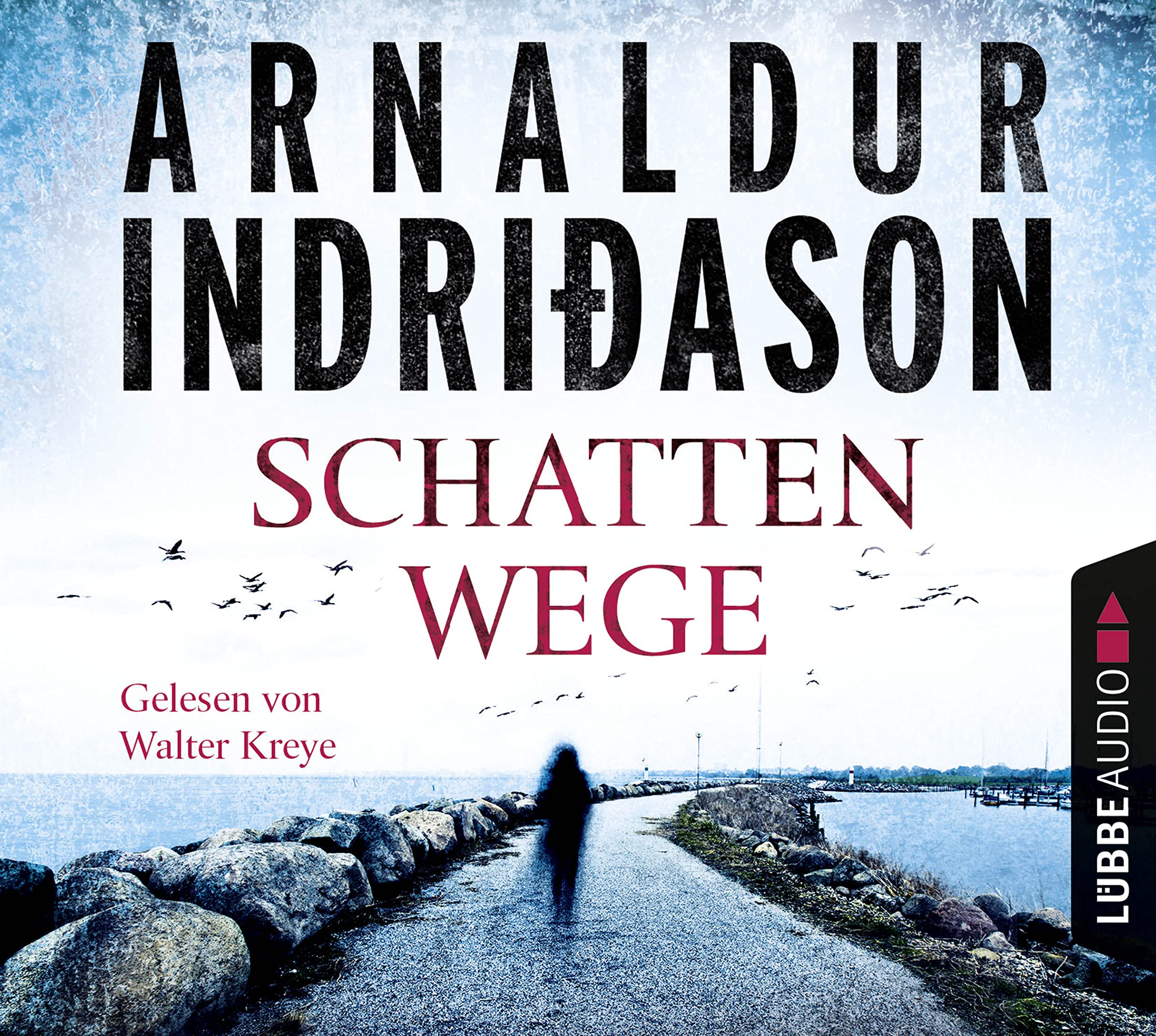 Schattenwege Contemporary literature Books