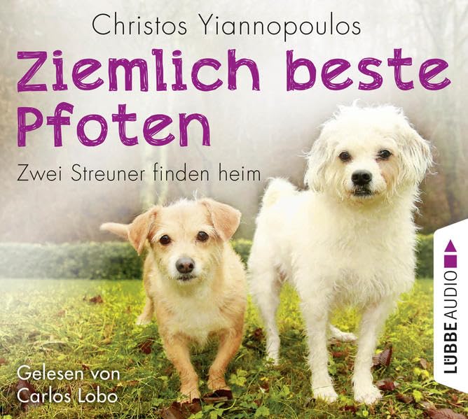 Ziemlich beste Pfoten: Zwei Streuner finden heim. Memories