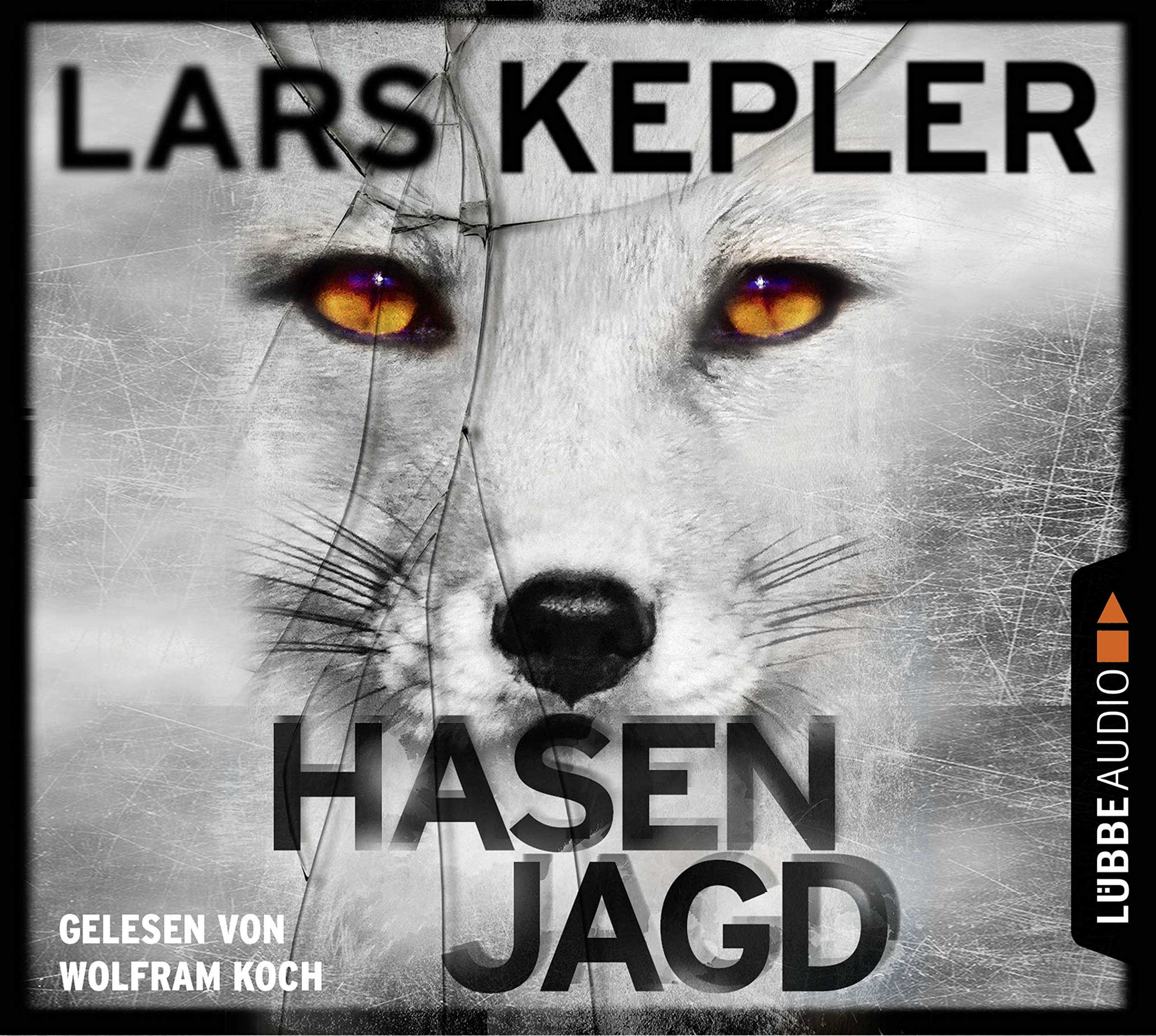 Hasenjagd: Schweden-Krimi. (Joona Linna, Band 6) Contemporary literature