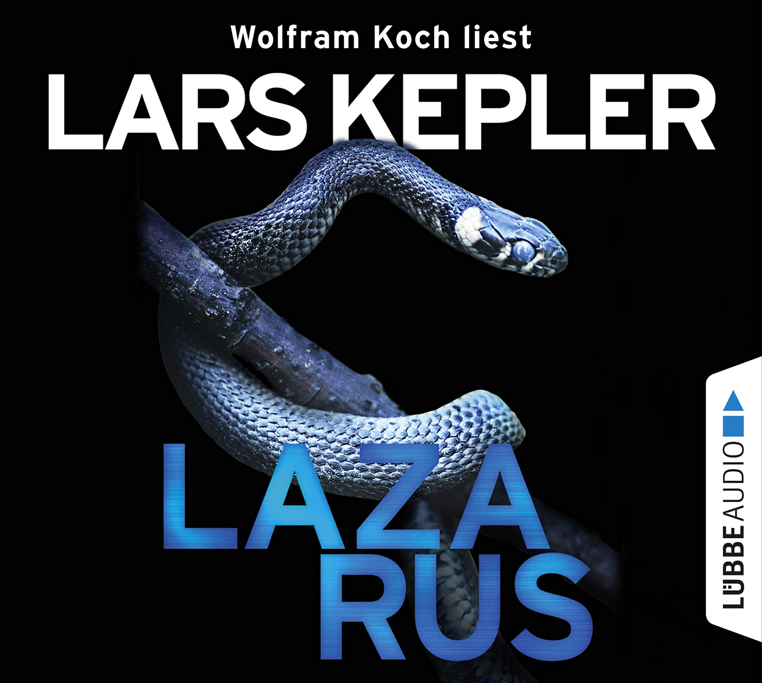 Lazarus: Joona Linna, Teil 7. Contemporary literature