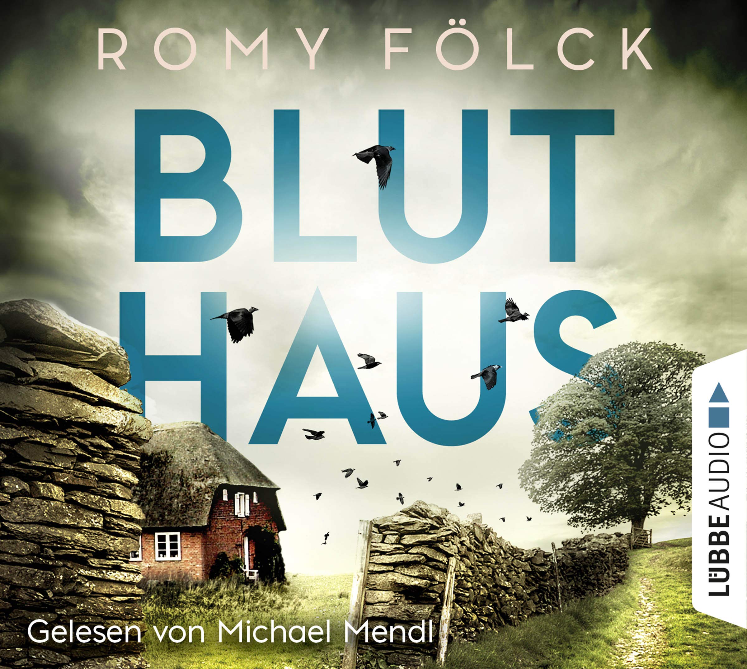 Bluthaus: Kriminalroman. (Elbmarsch-Krimi, Band 2) Contemporary literature