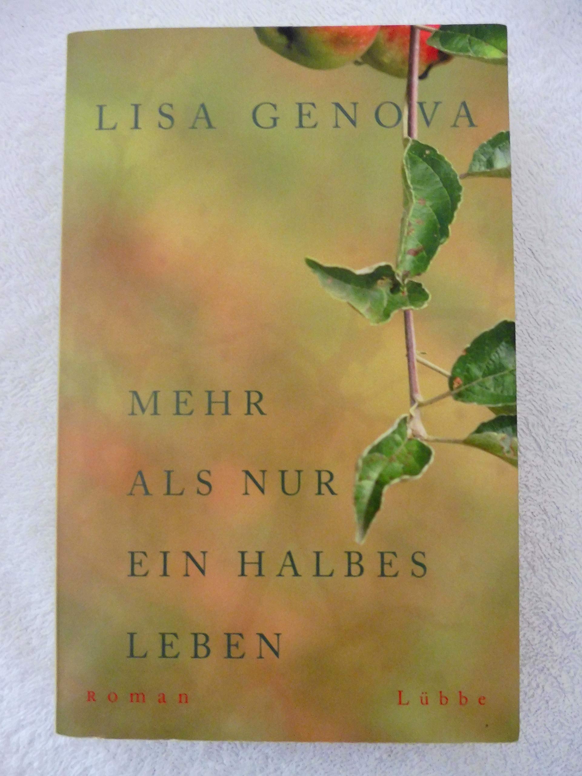Mehr als nur ein halbes Leben: Roman Contemporary literature