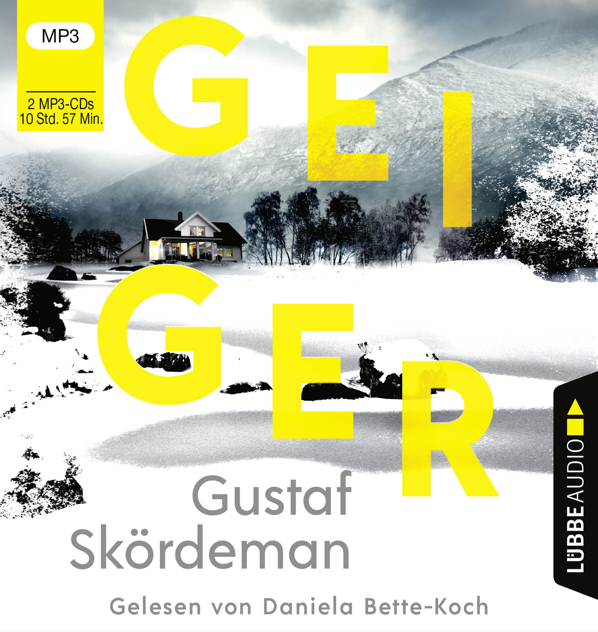 Geiger: Thriller. (Geiger-Reihe, Band 1) Contemporary literature