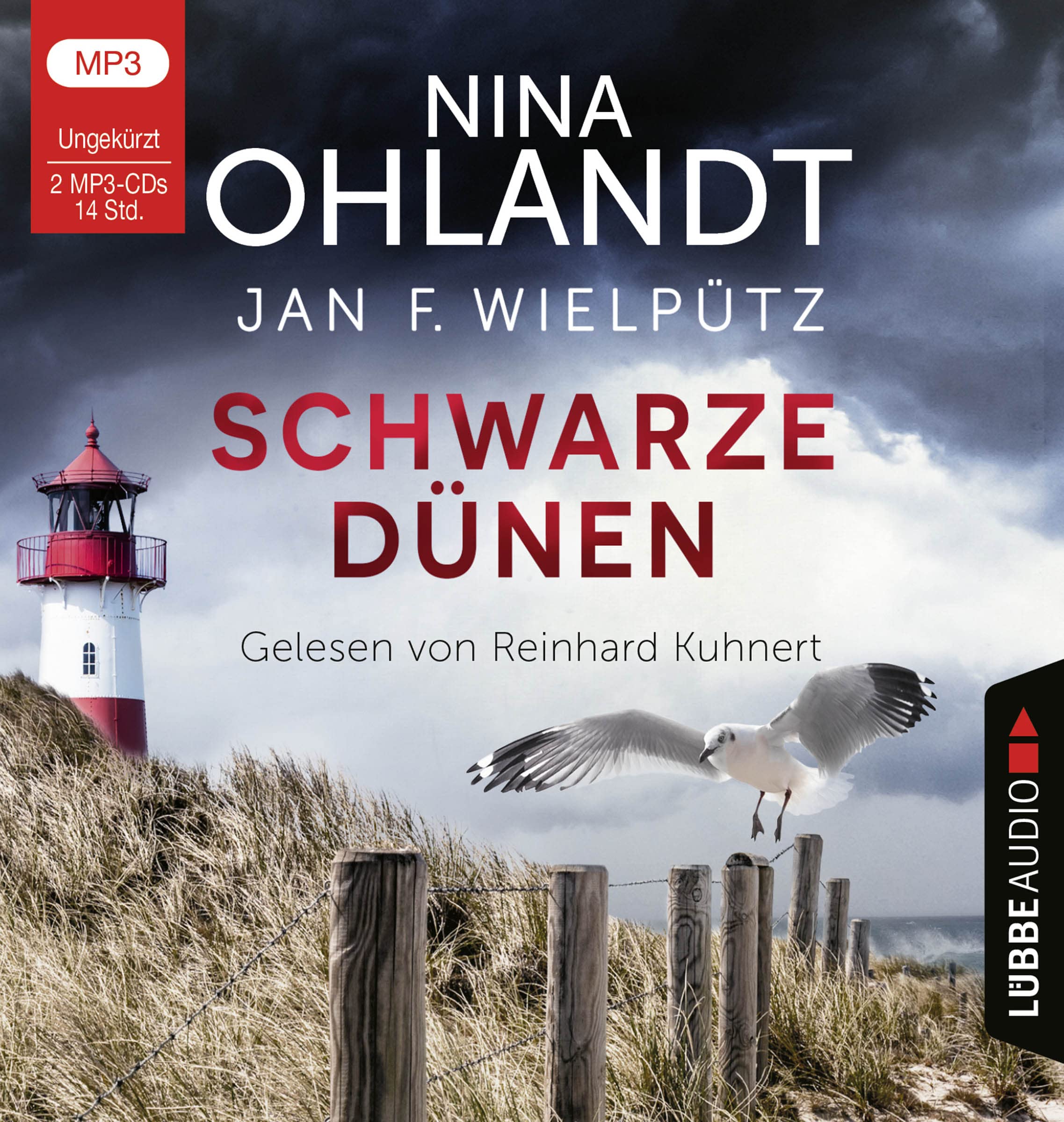 Schwarze Dünen: John Benthiens neunter Fall. (Hauptkommissar John Benthien, Band 9) Contemporary literature