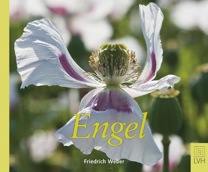 Engel Religion & Esotericism