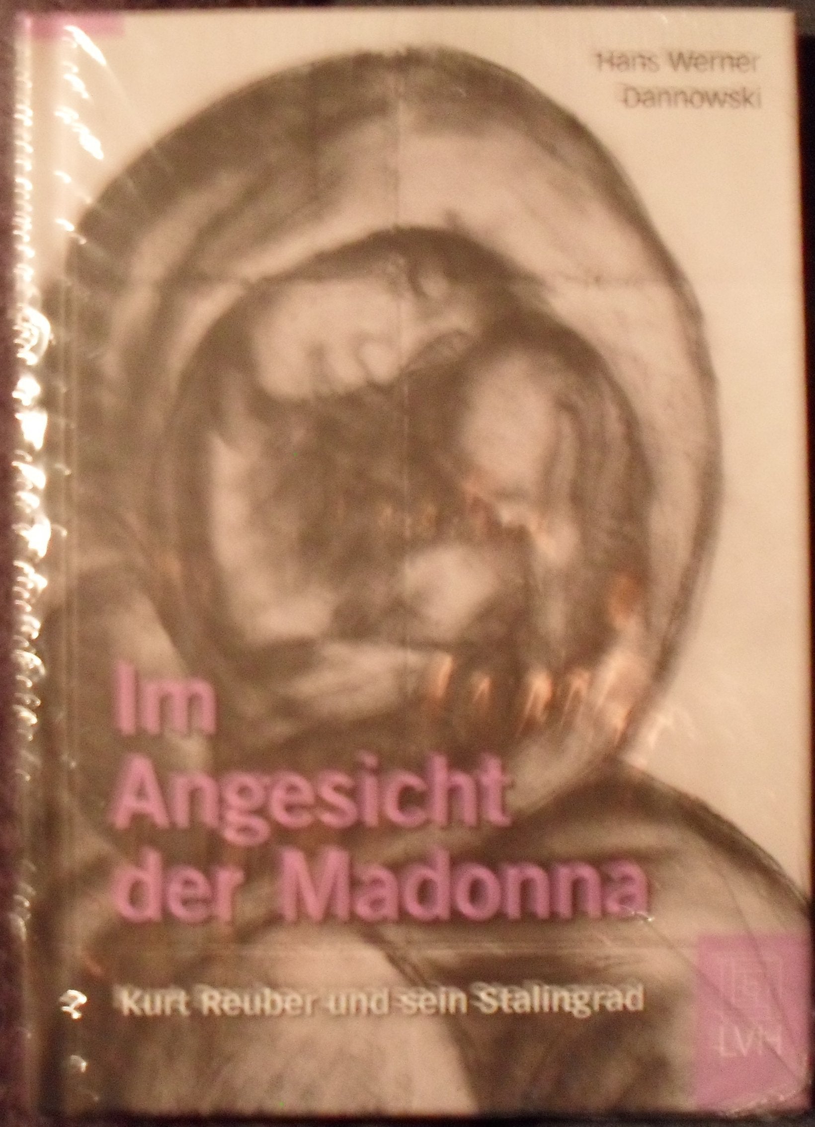 Im Angesicht der Madonna Politics & Society Books