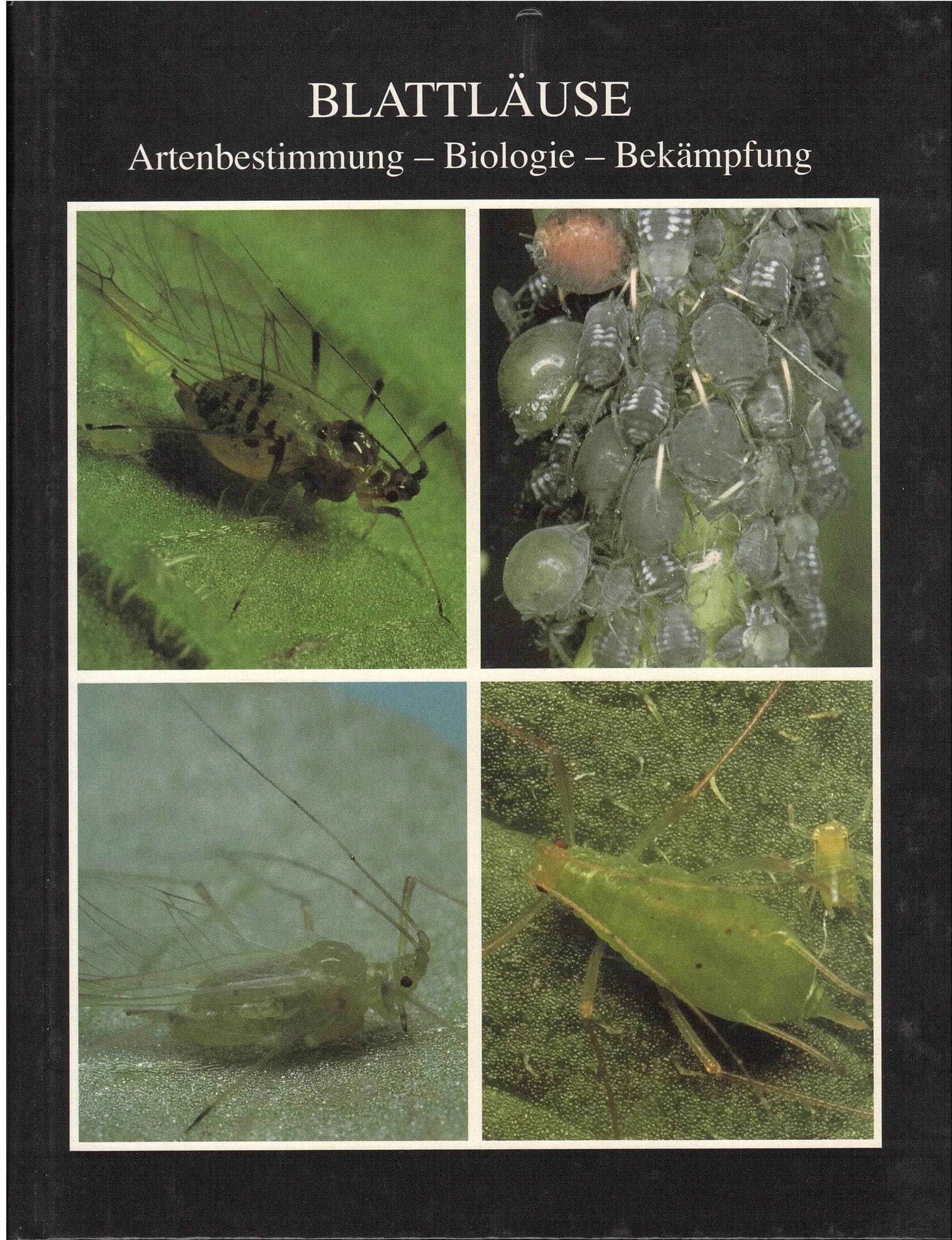 Product Image: Blattläuse: Artenbestimmung - Biologie - Bekämpfung
