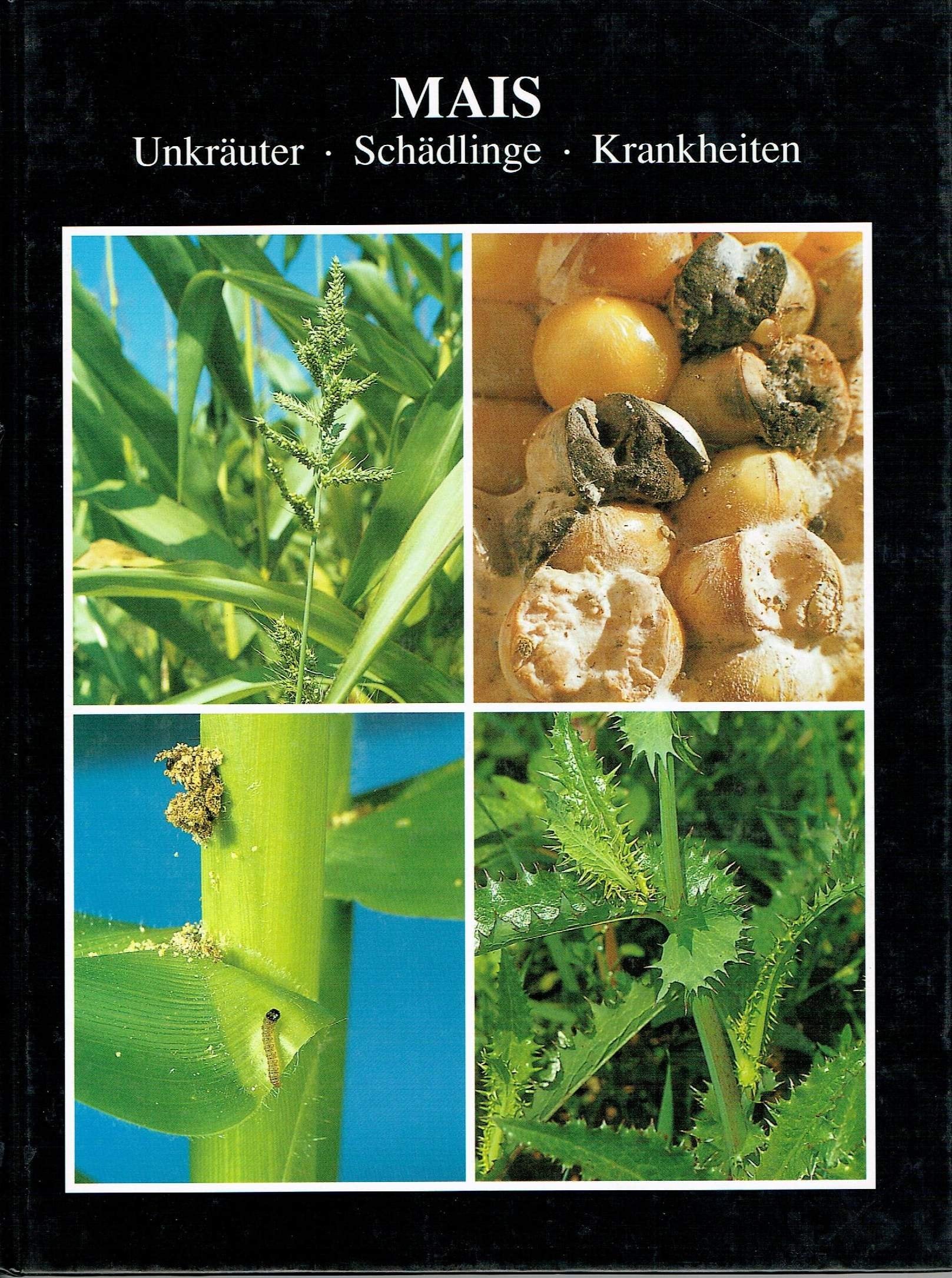 Mais: Unkräuter - Schädlinge - Krankheiten (Livre en allemand) book