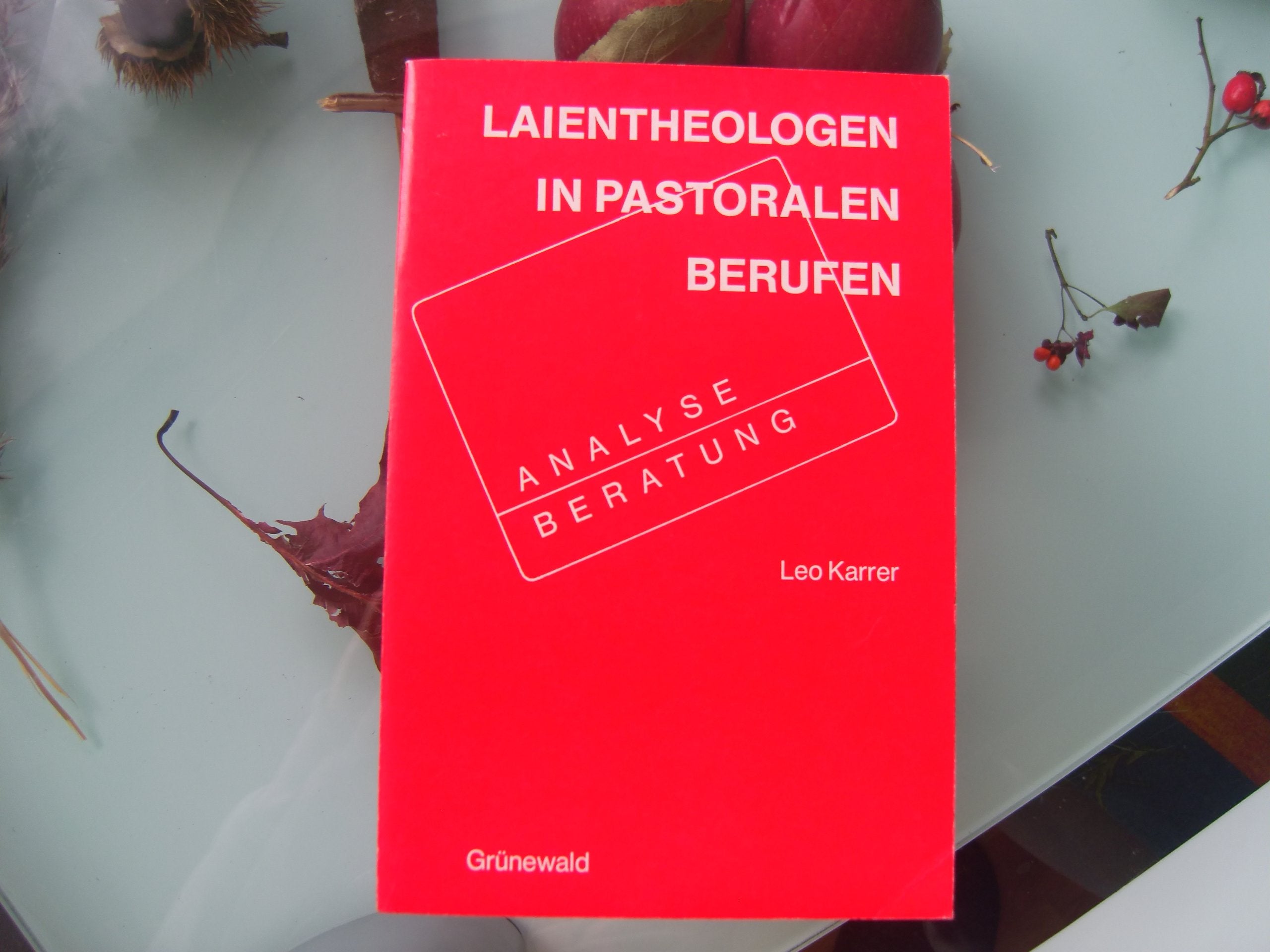 Laientheologen in pastoralen Berufen. book