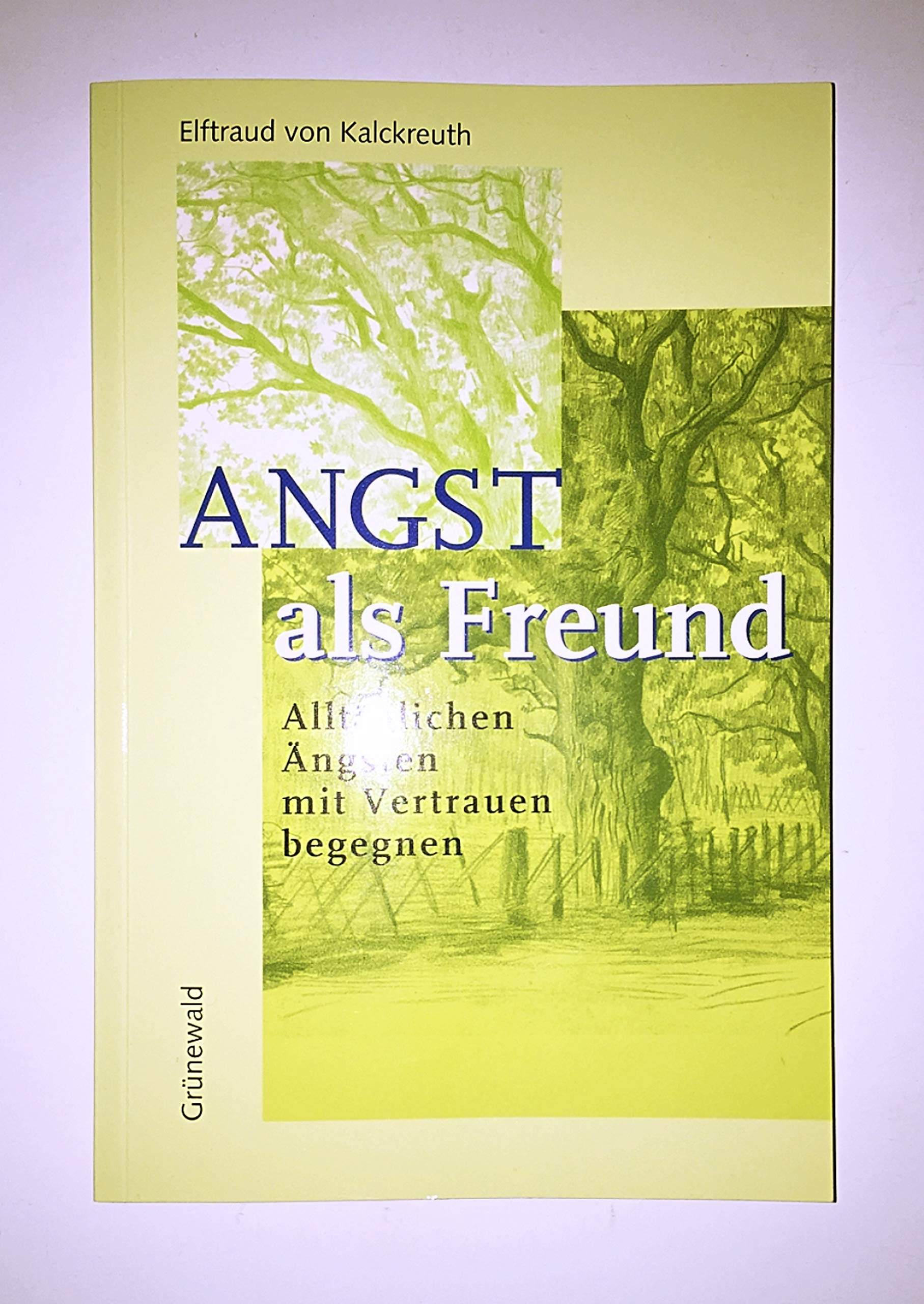 Angst als Freund: Alltäglichen Ängsten mit Vertrauen begegnen Religion & Esotericism