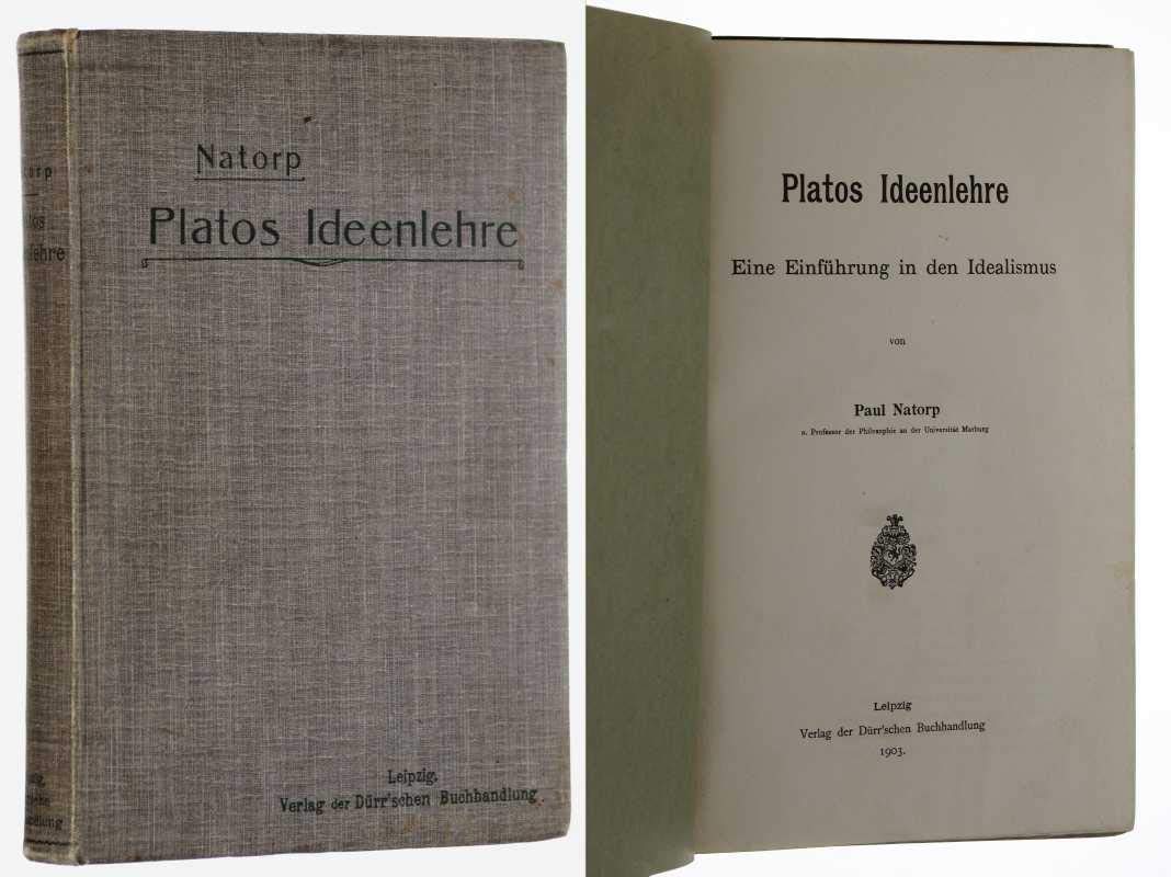 Platos Ideenlehre. Eine Einführung in den Idealismus Philosophy