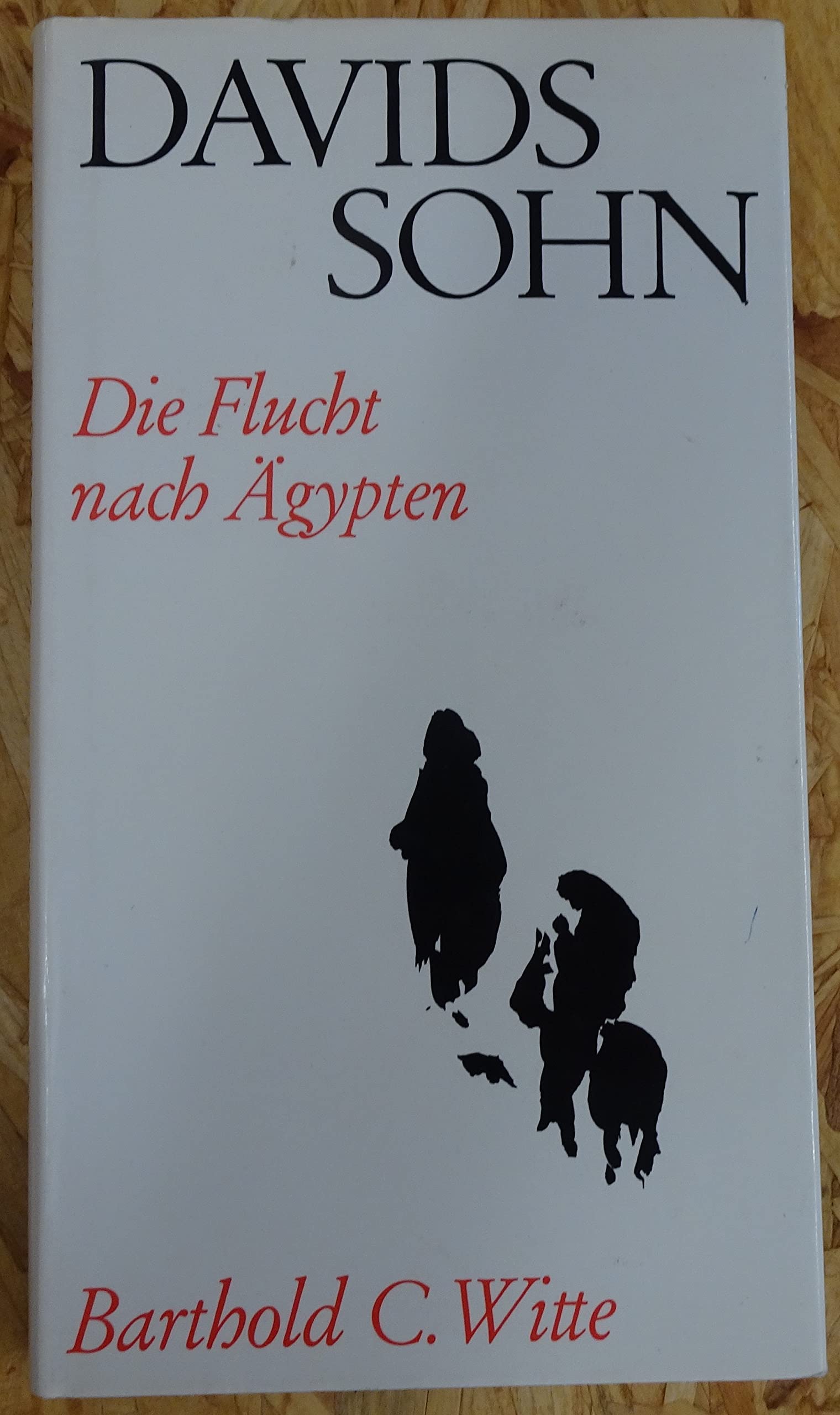 Davids Sohn: Die Flucht nach Ägypten Books