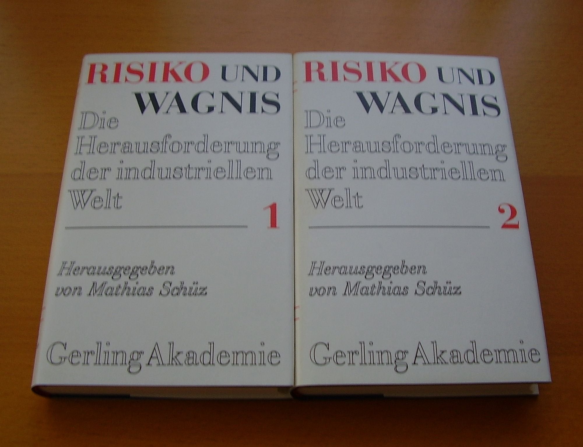 Risiko und Wagnis - Die Herausforderung der industriellen Welt (2 Bde.) Philosophy