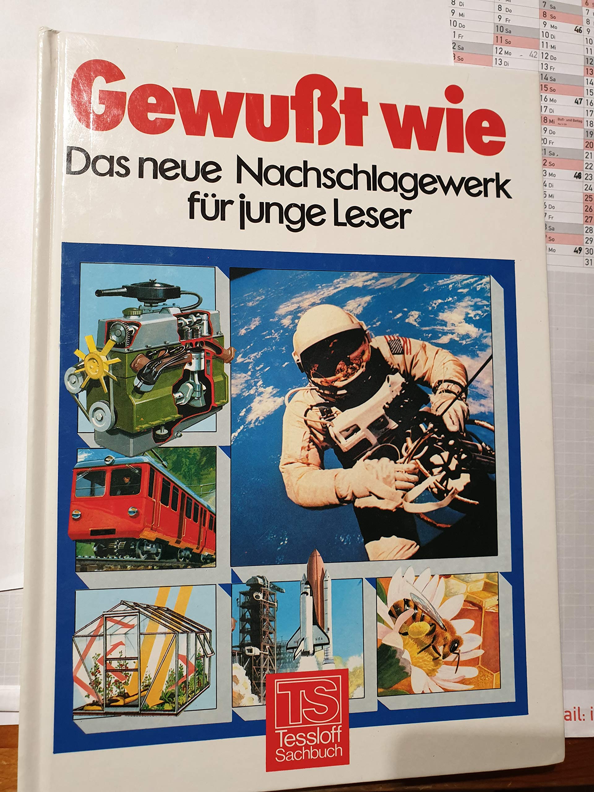 Gewußt wie. Das neue Nachschlagewerk für junge Leser Learning & Reference