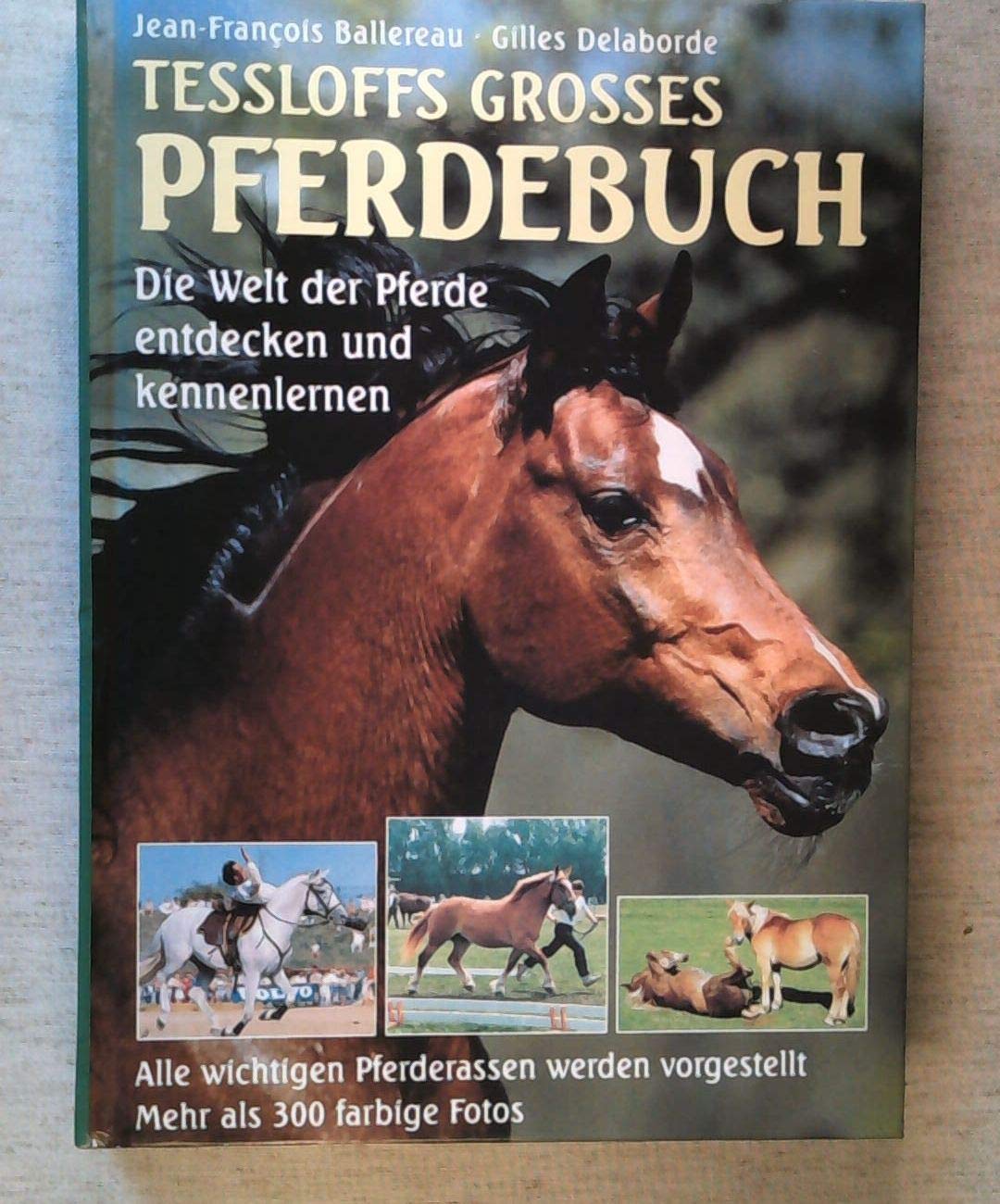 Product Image: Tessloffs grosses Pferdebuch