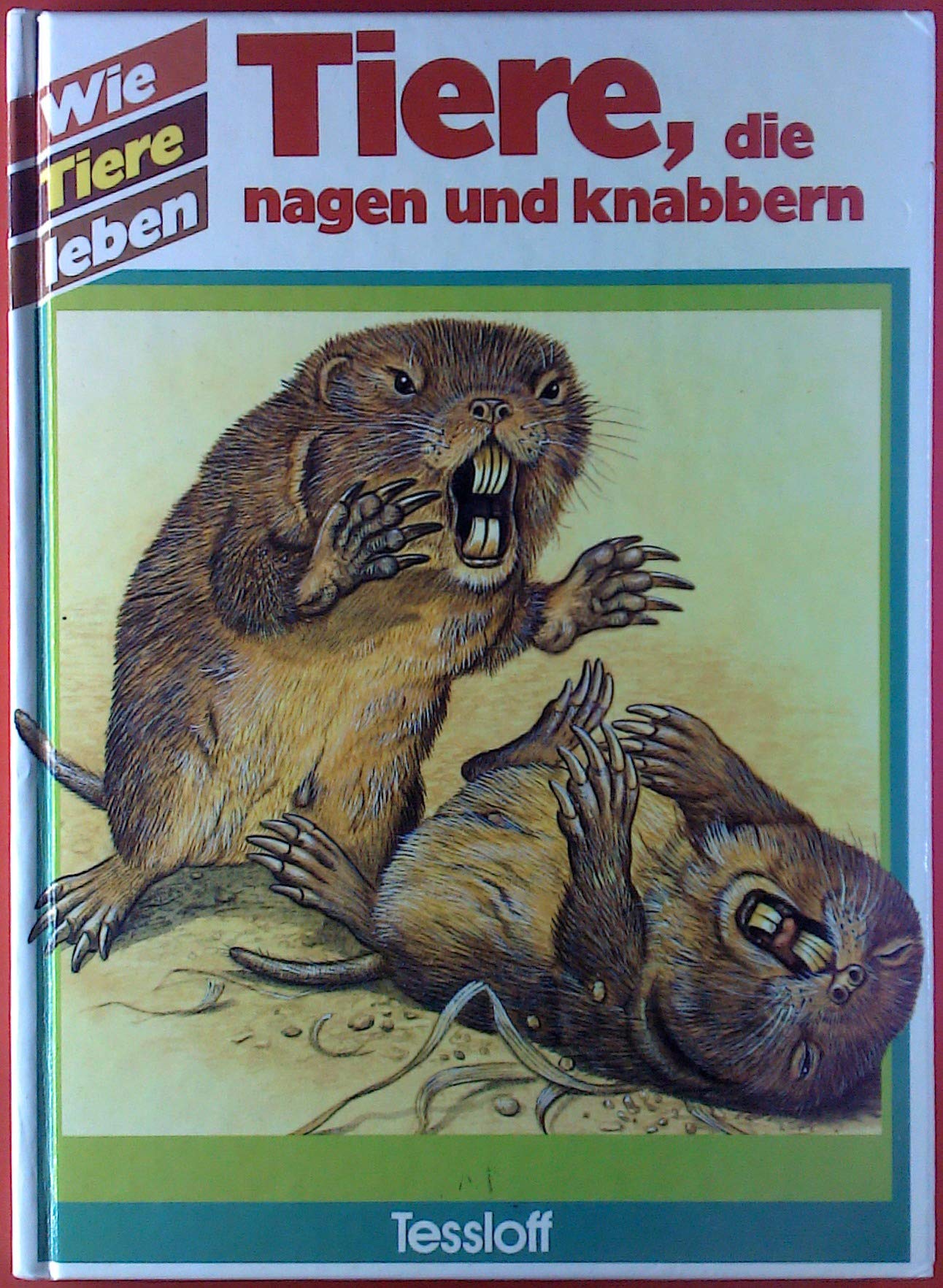 Tiere, die nagen und knabbern. Wie Tiere leben. ( Ab 6 J.) Books