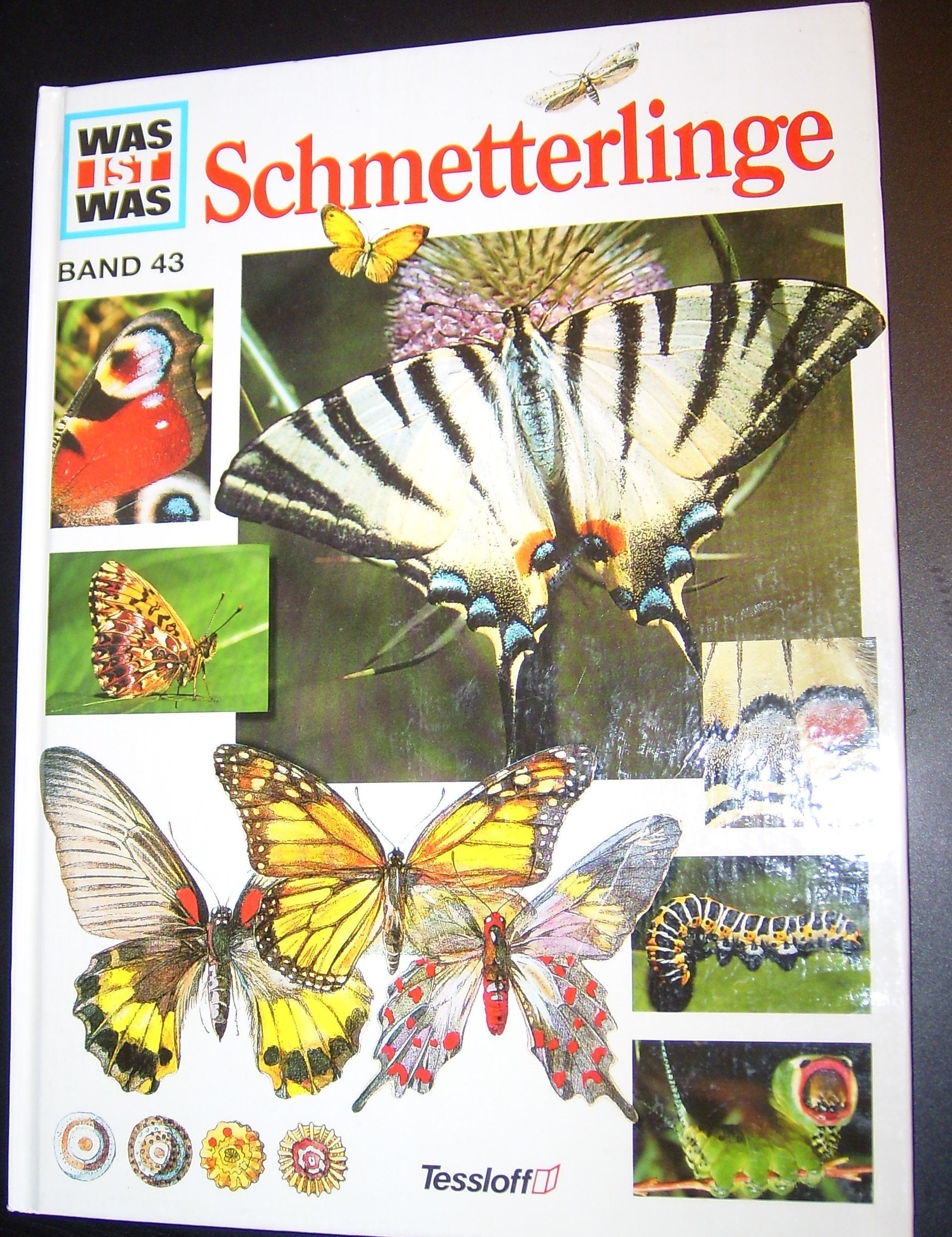 Was ist was, Band 043: Schmetterlinge Leisure, Home & Garden