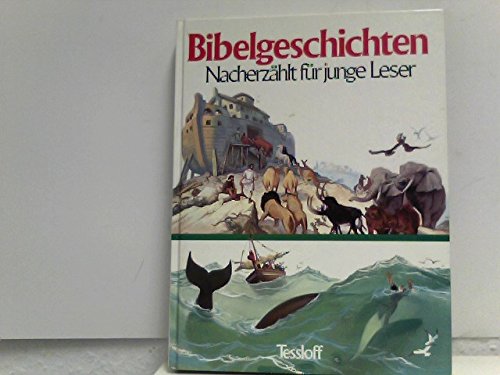 Bibelgeschichten. Nacherzählt für junge Leser Religion & Esotericism