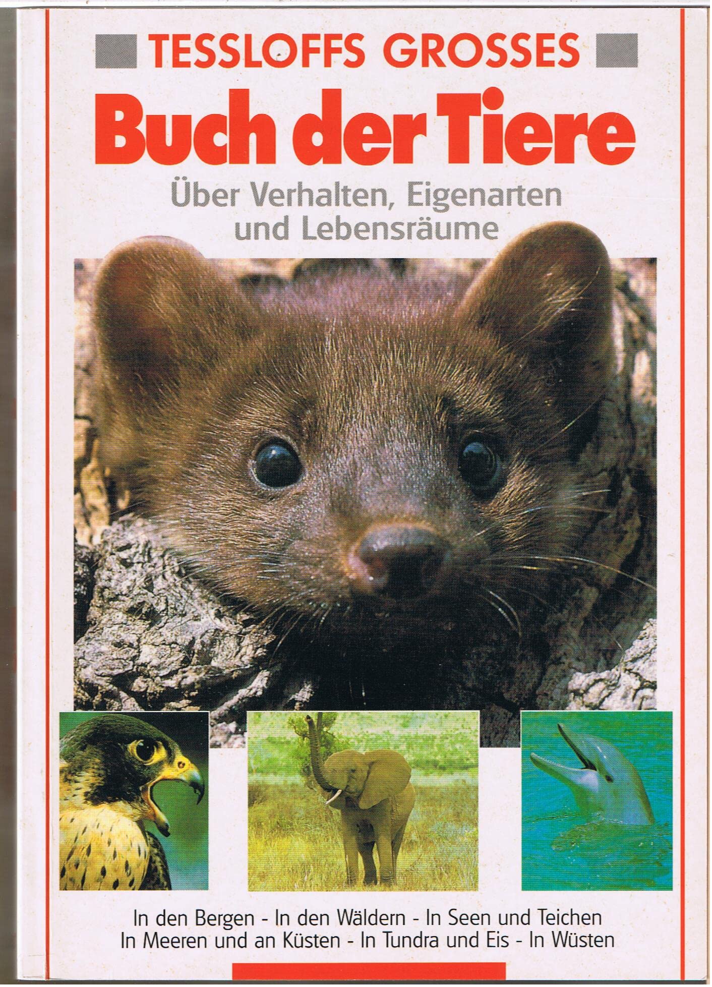 Tessloffs großes Buch der Tiere. Über Verhalten, Eigenarten und Lebensräume Books