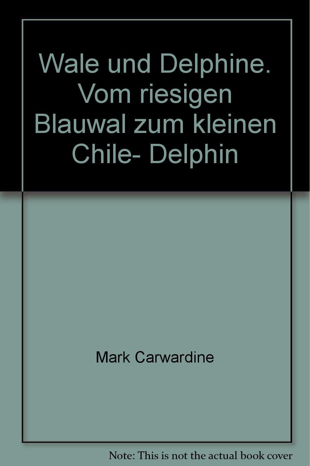 Wale und Delphine. Vom riesigen Blauwal zum kleinen Chile- Delphin Books