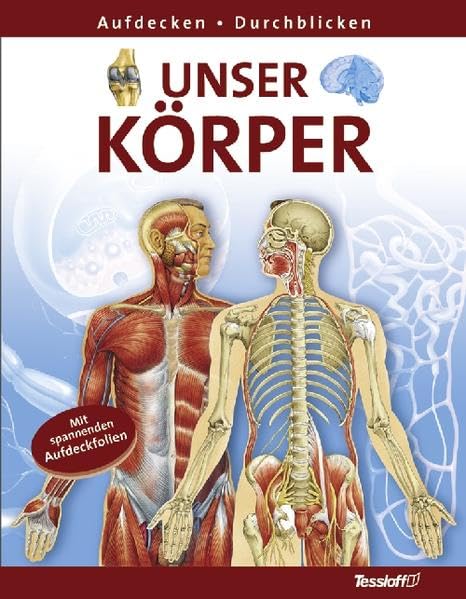 Unser Körper (Aufdecken - Durchblicken) Children's books
