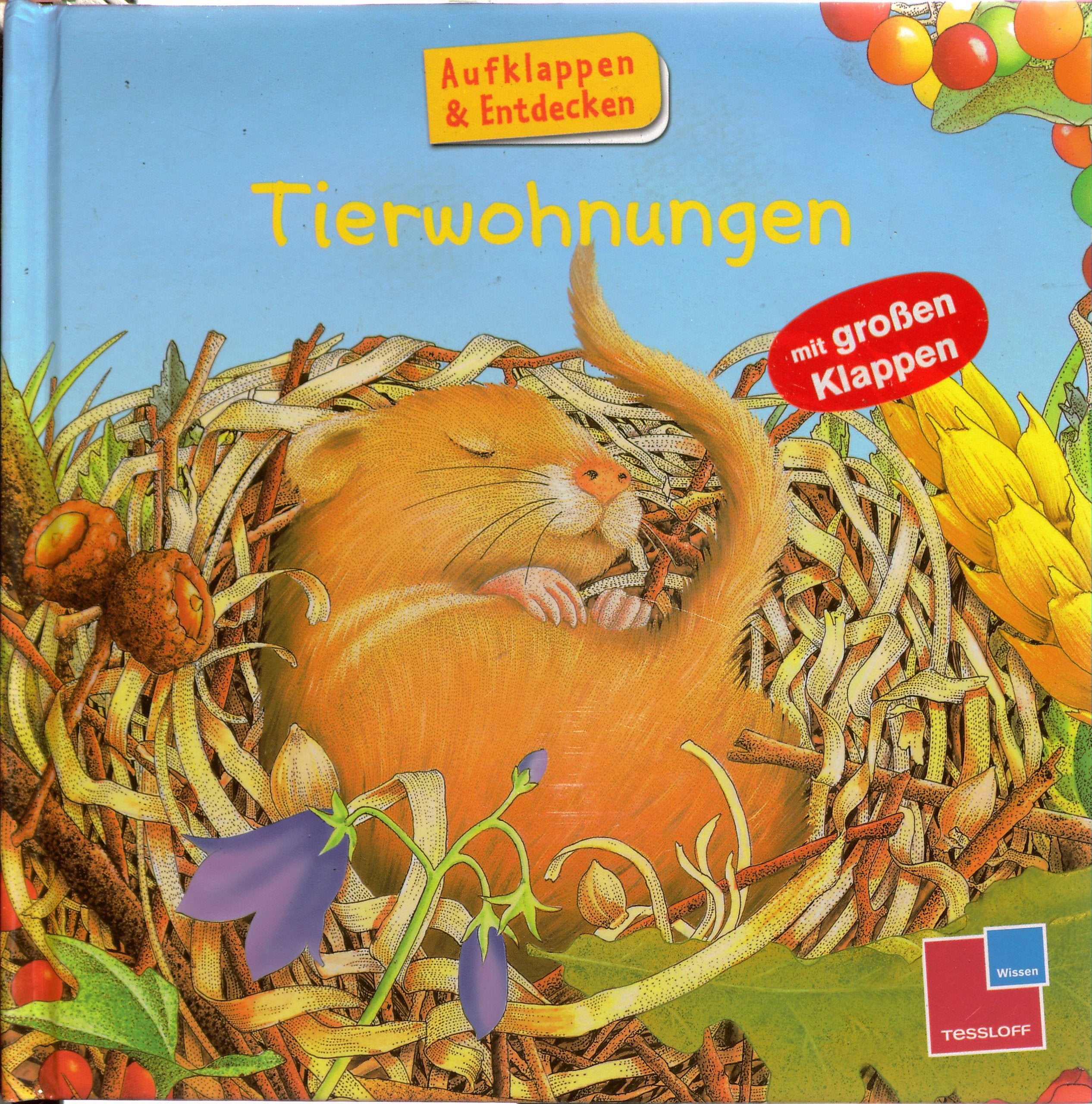 Aufklappen und Entdecken: Tierwohnungen Books