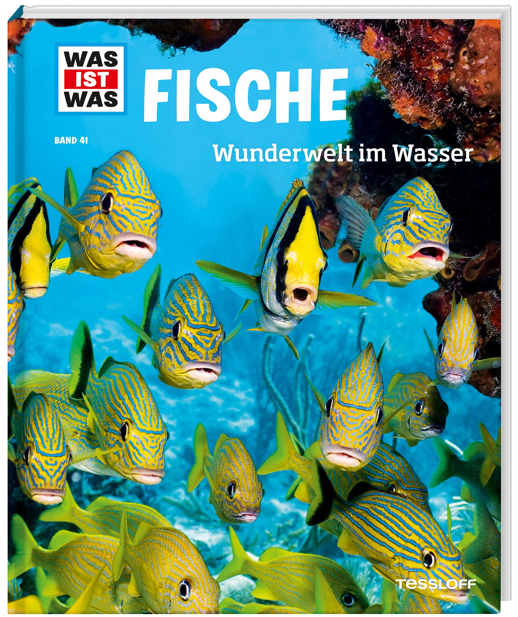 WAS IST WAS Band 41 Fische. Wunderwelt im Wasser General education