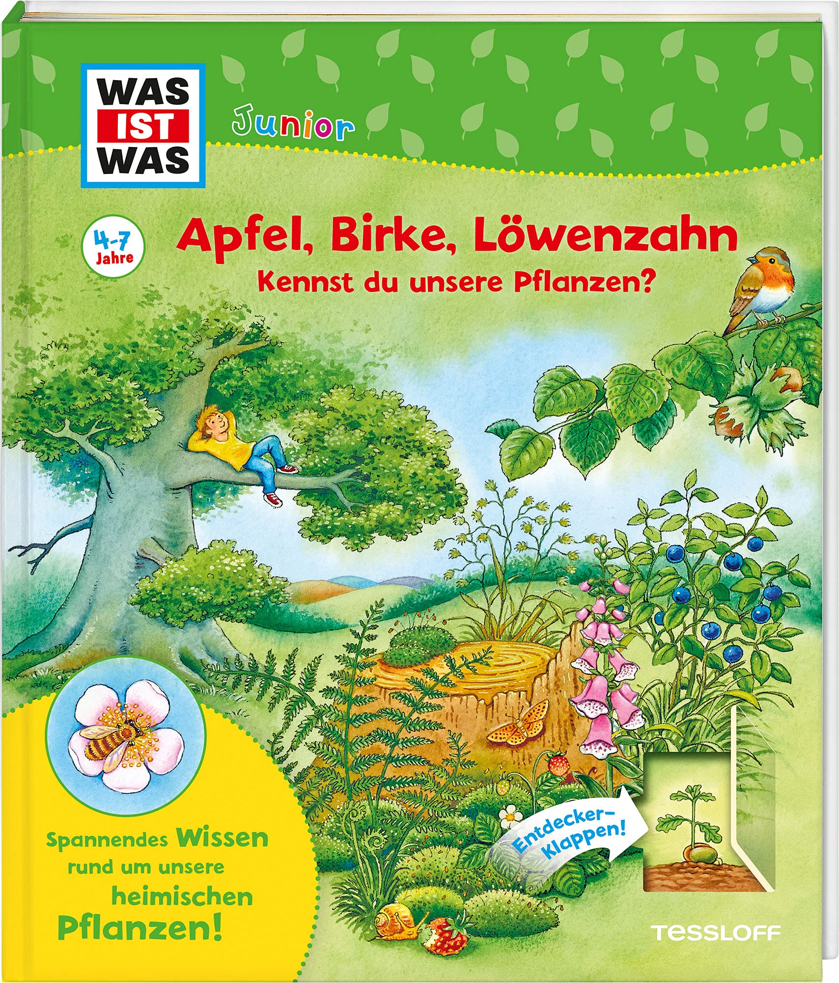 WAS IST WAS Junior Apfel, Birke, Löwenzahn Kennst du unsere Pflanzen?: WAS IST WAS Junior Edition Non-fiction