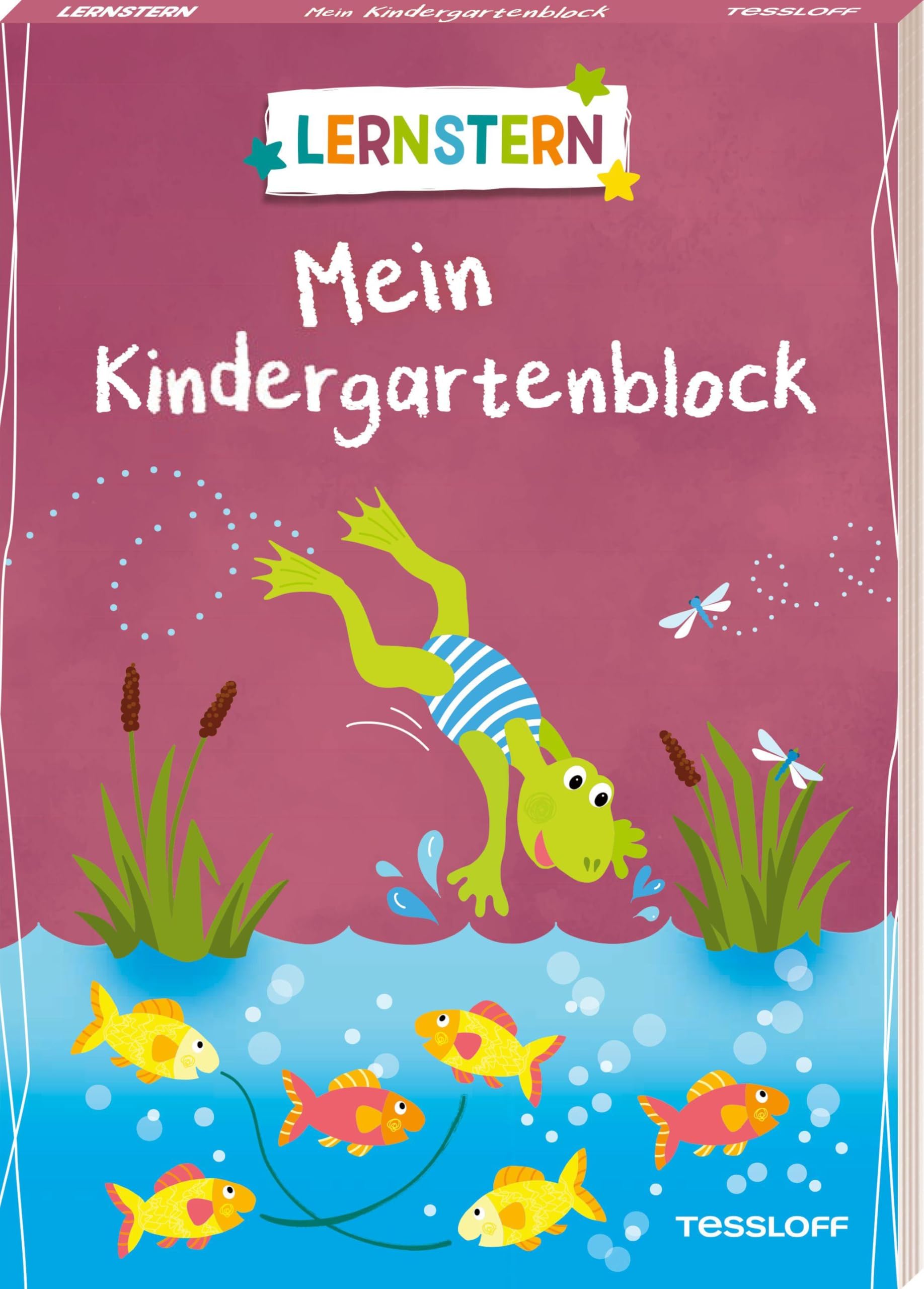 LERNSTERN. Mein Kindergartenblock Study Guides