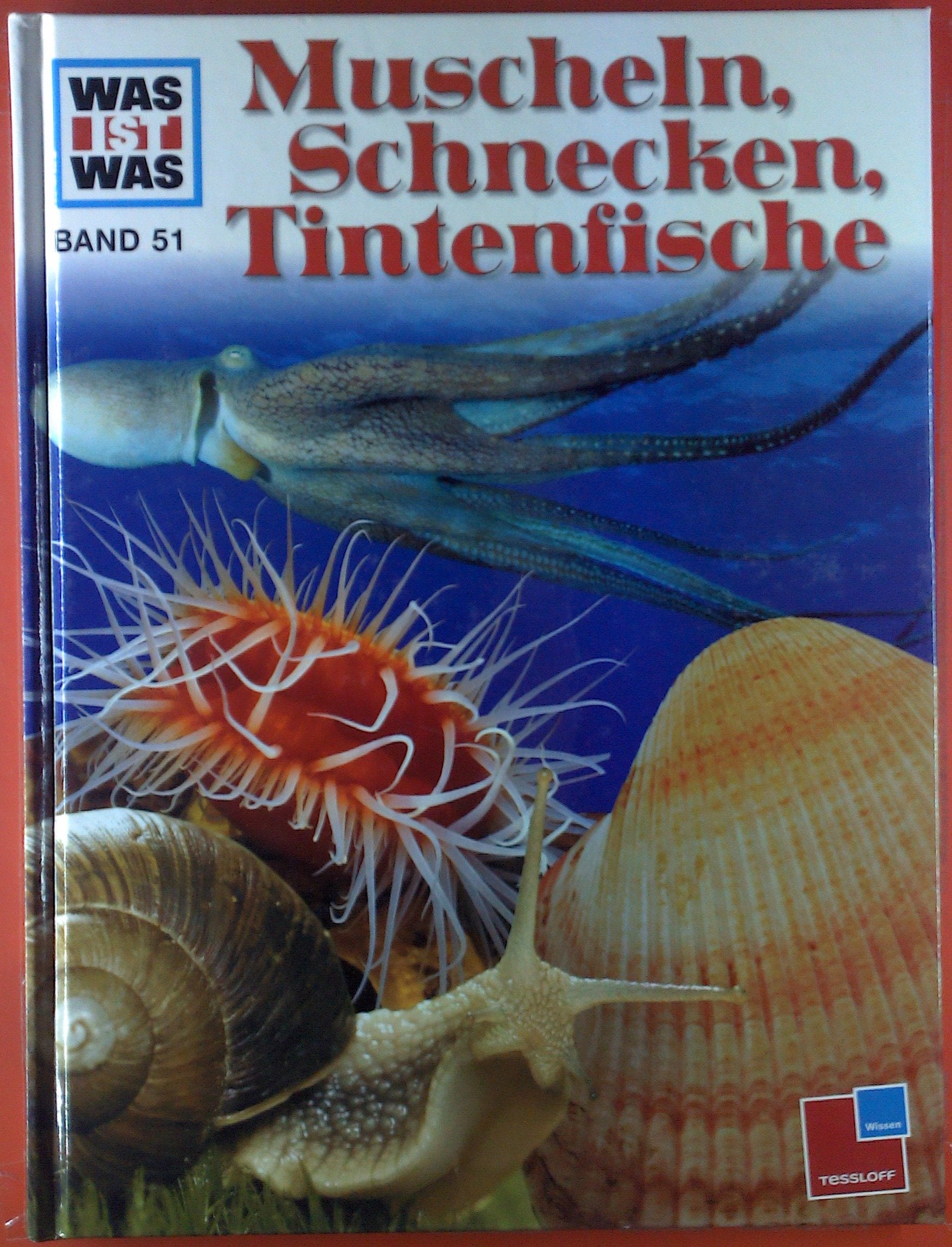 Was ist was, Band 051: Muscheln, Schnecken, Tintenfische Non-fiction