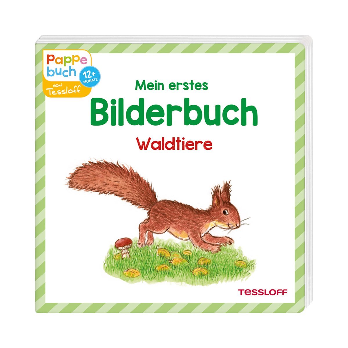 Mein erstes Bilderbuch Waldtiere Non-fiction