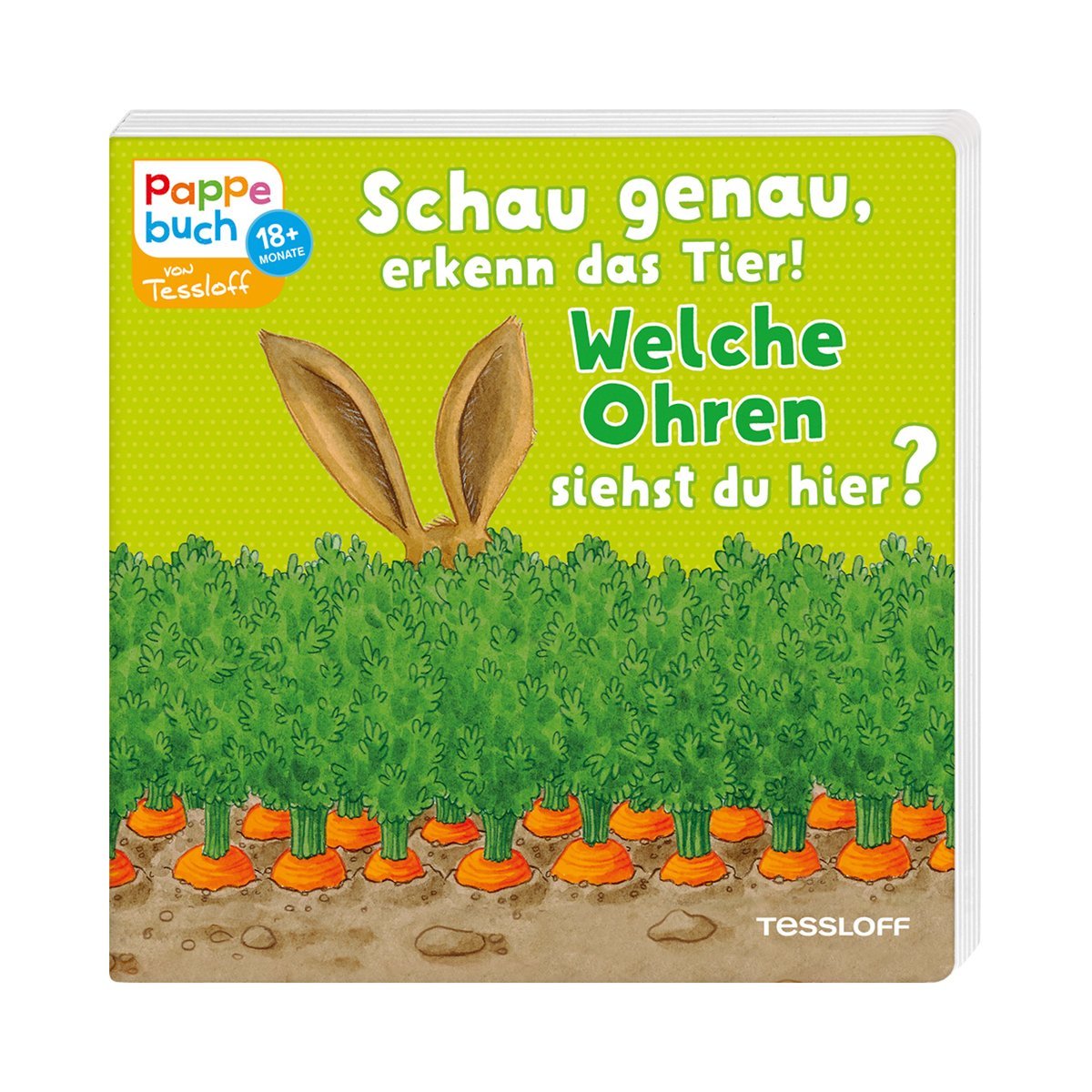 Schau genau, erkenn das Tier! Welche Ohren siehst du hier? Non-fiction