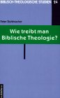 Wie treibt man Biblische Theologie? Religion & Esotericism
