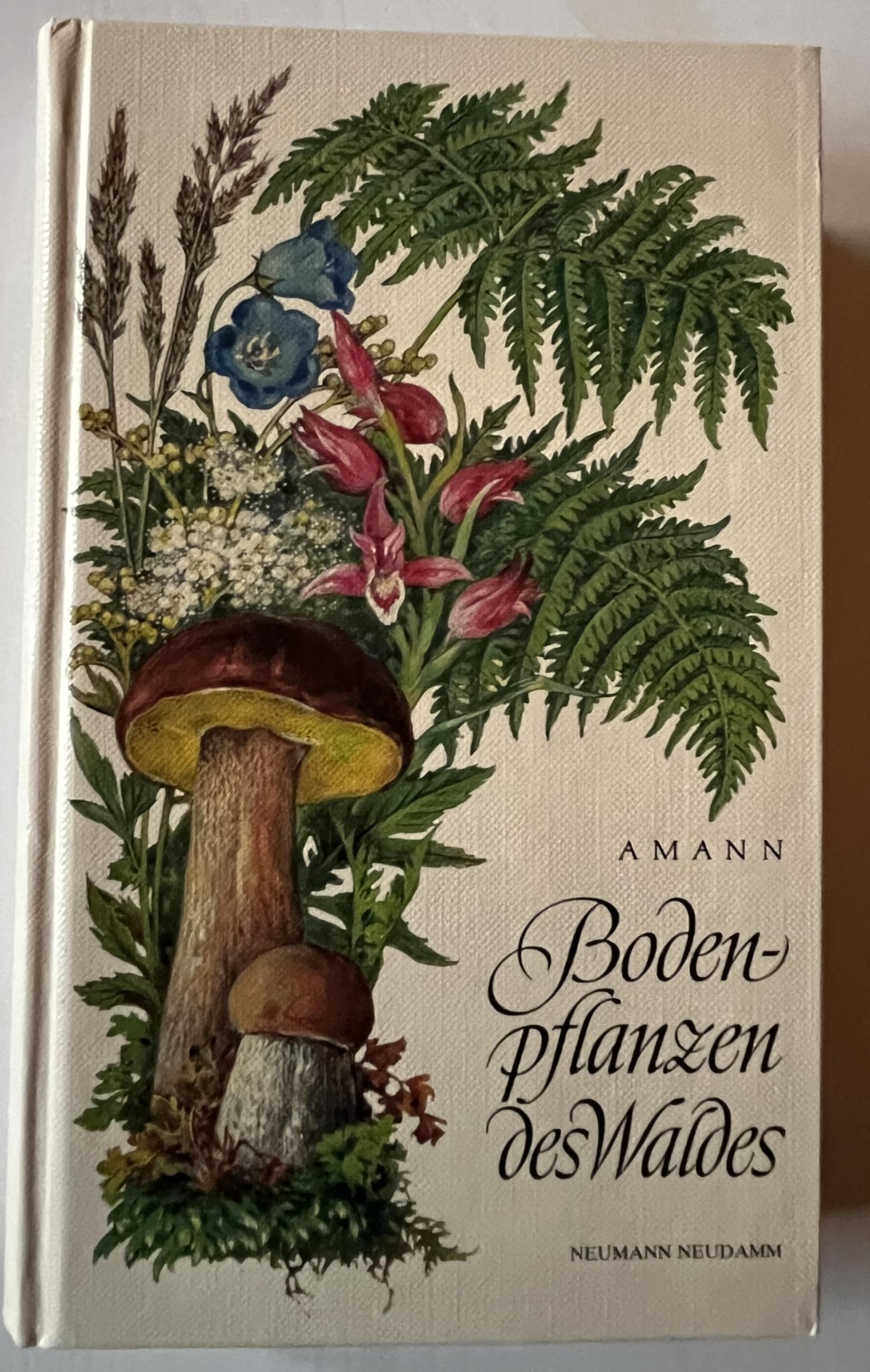 Bodenpflanzen des Waldes - Taschenbuch der beachtenswertesten Pilze, Flechten, Moose, Farnpflanzen, Gräser und Kräuter des mitteleuropäischen Waldes mit Textteil über deren Bau und Leben. Garden & Plants
