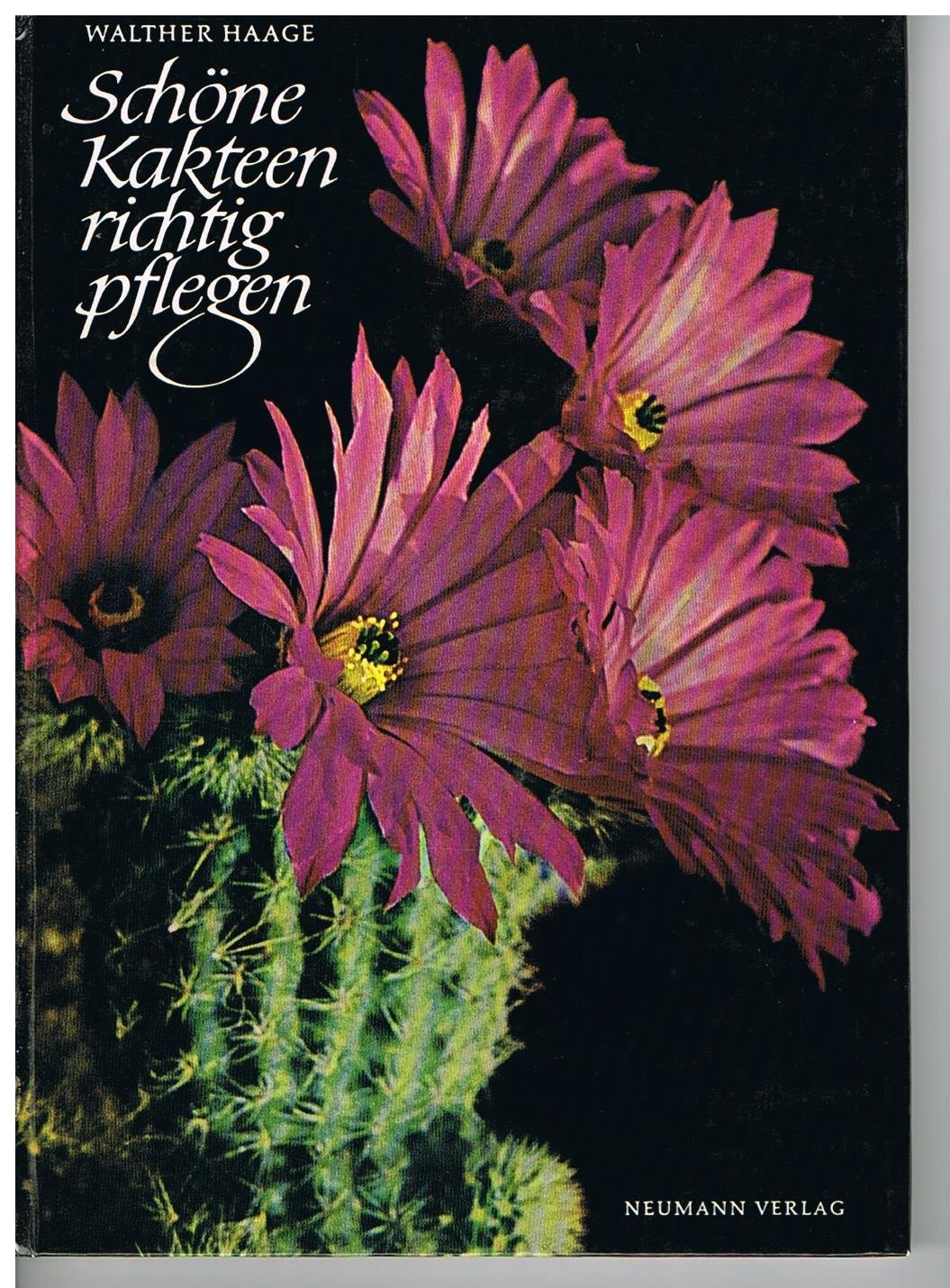 Schöne Kakteen richtig pflegen. Books