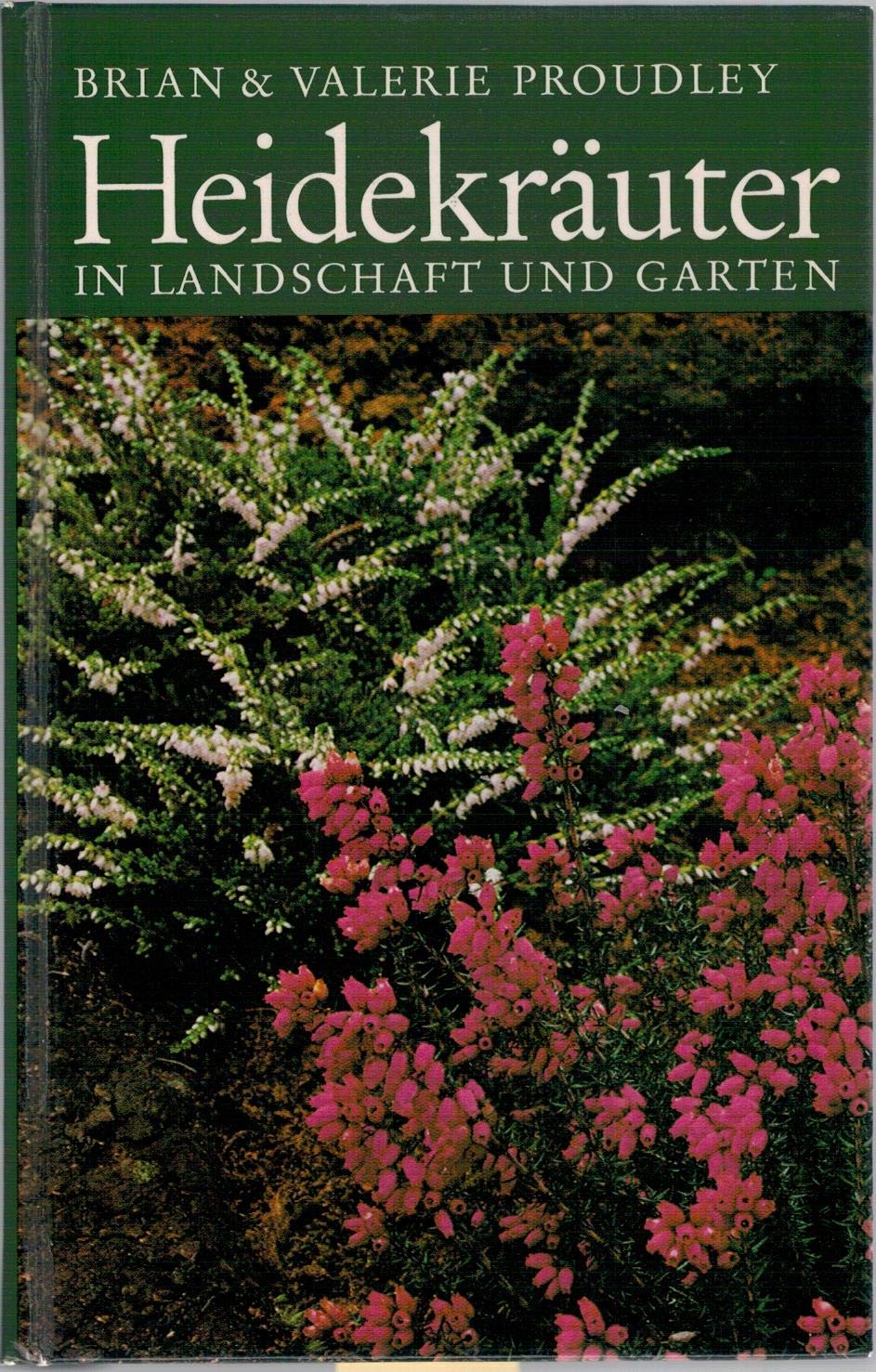 Heidekräuter in Landschaft und Garten Leisure, Home & Garden
