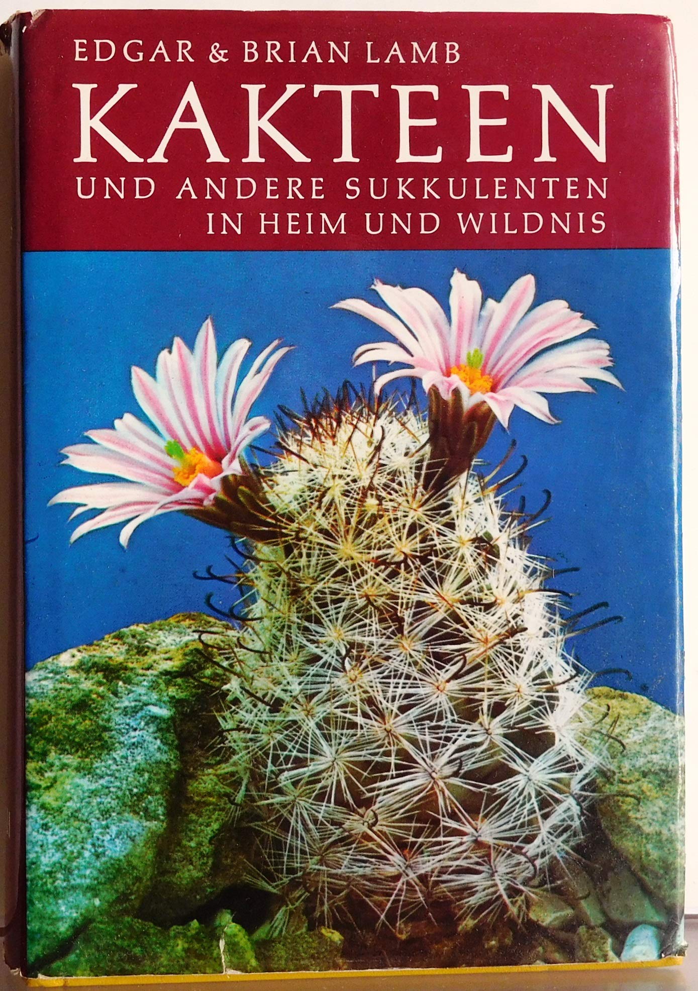 Kakteen und andere Sukkulenten in Heim und Wildnis Business & Technology