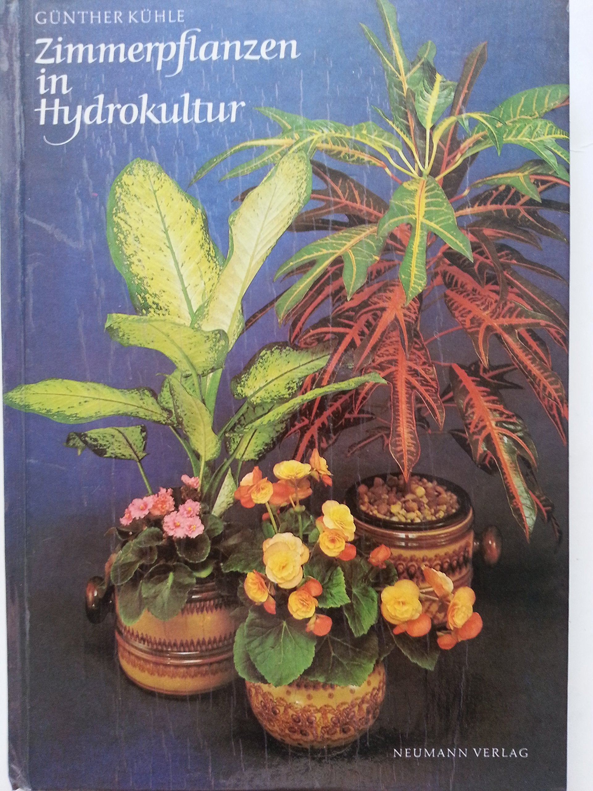 Zimmerpflanzen in Hydrokultur Books