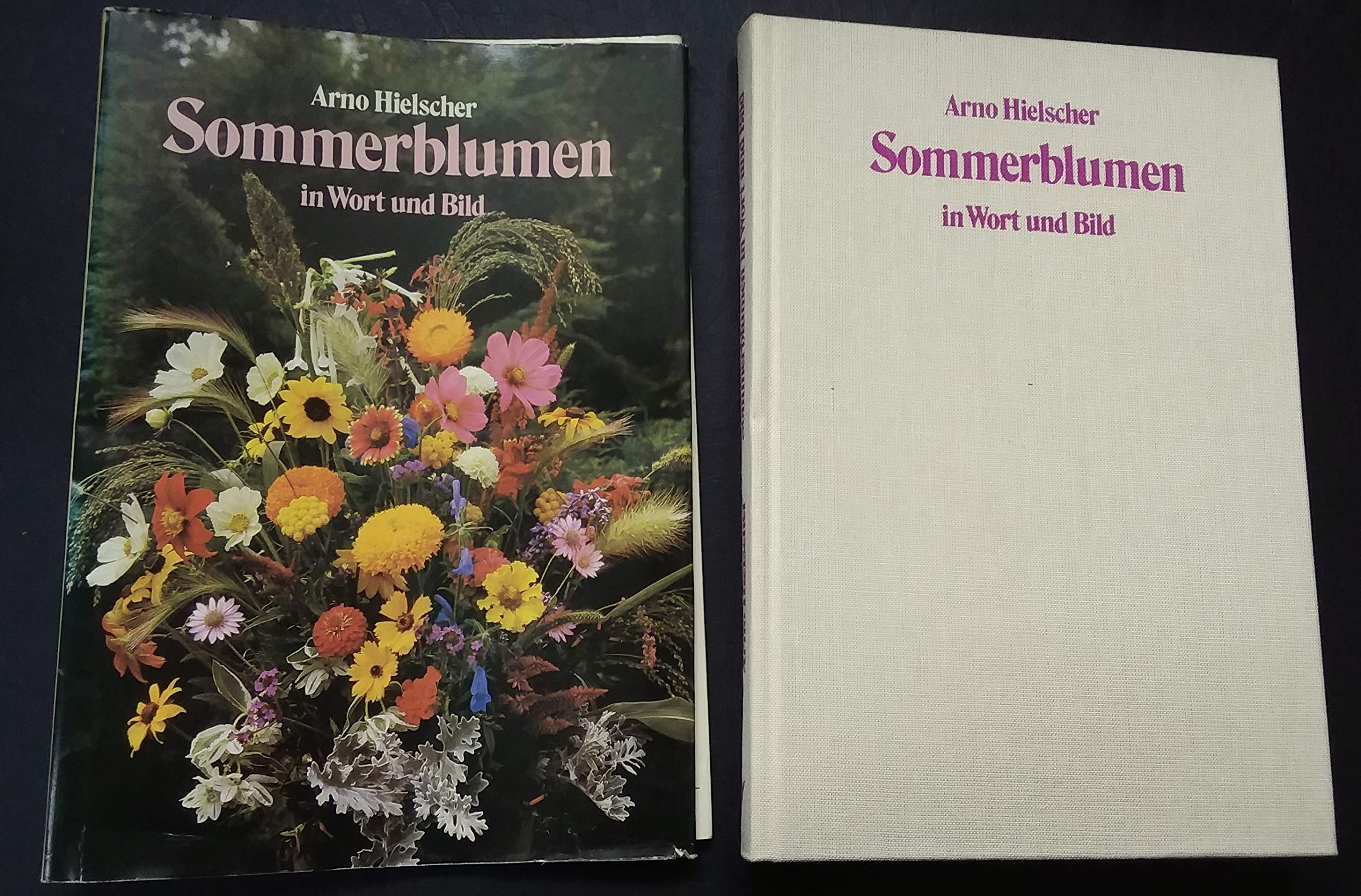 Sommerblumen in Wort und Bild Business & Technology