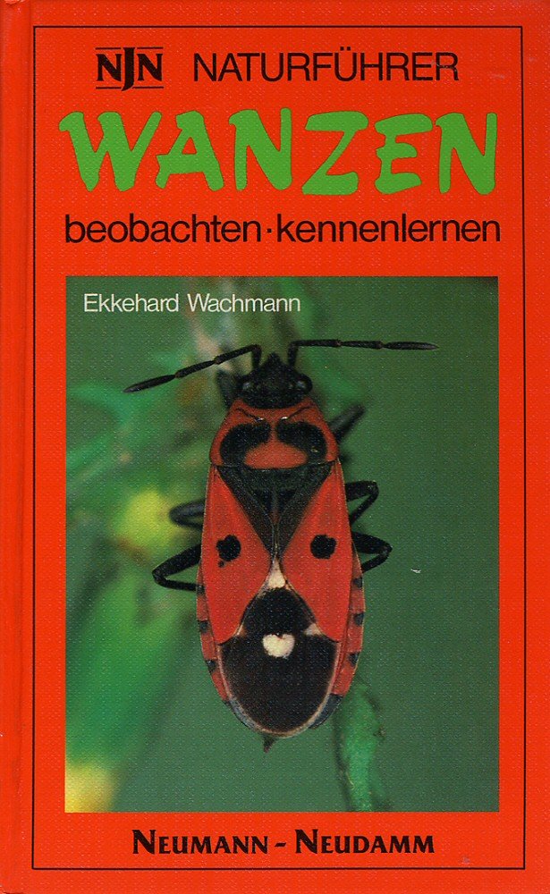 Wanzen - beobachten-kennenlernen Books