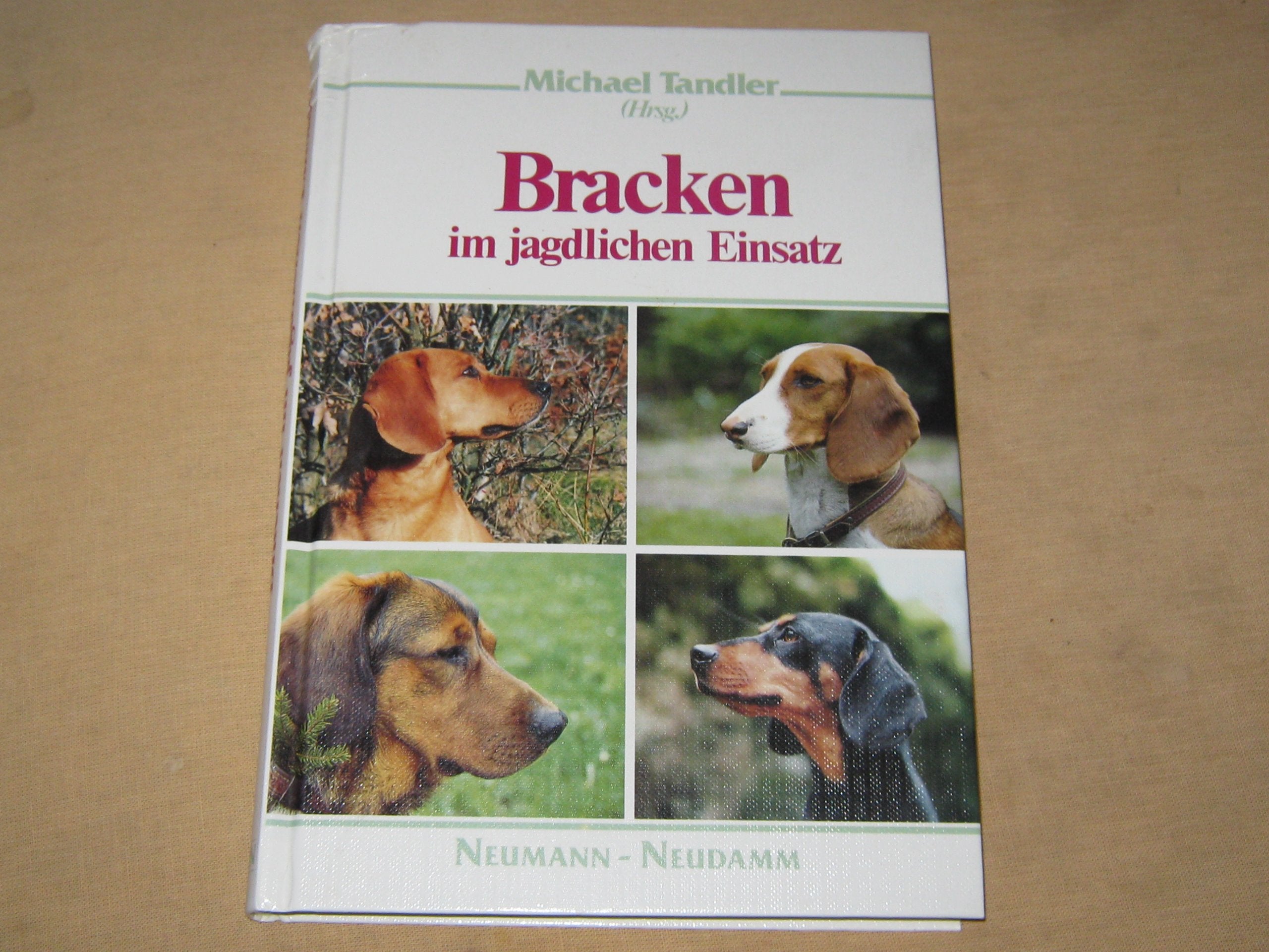 Bracken im jagdlichen Einsatz Natural Sciences